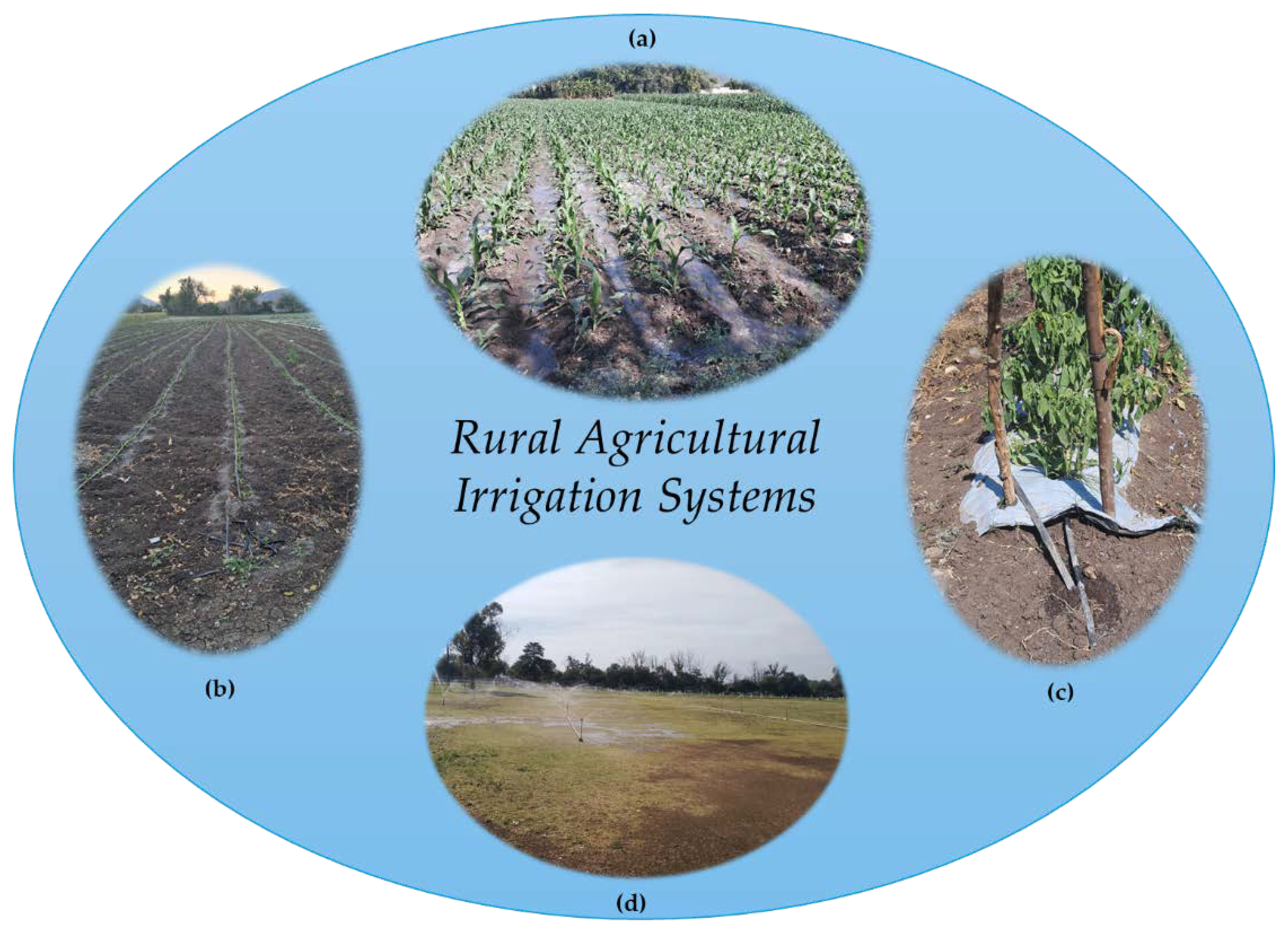 Preprints 106018 g001