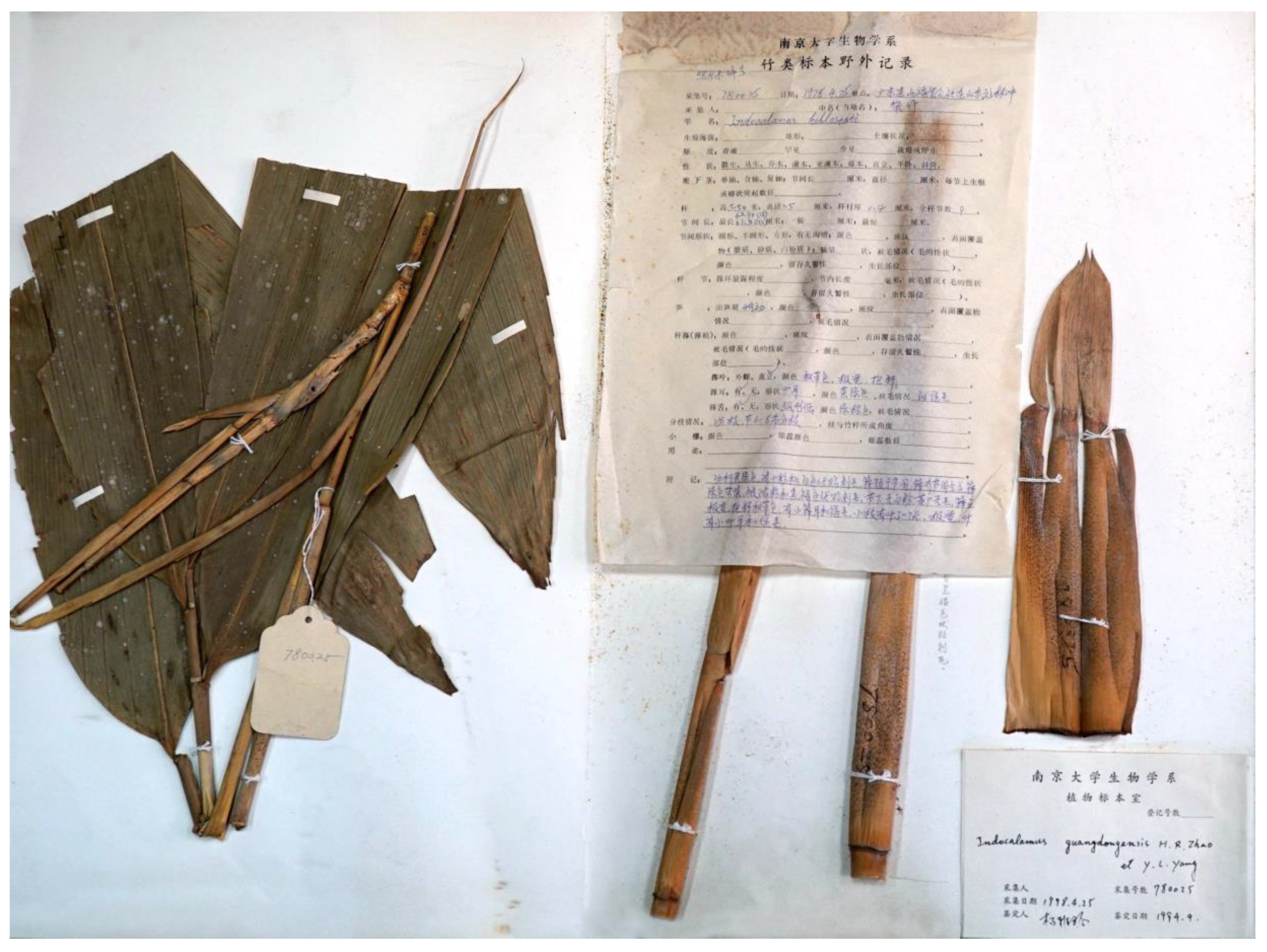 Preprints 146800 g001