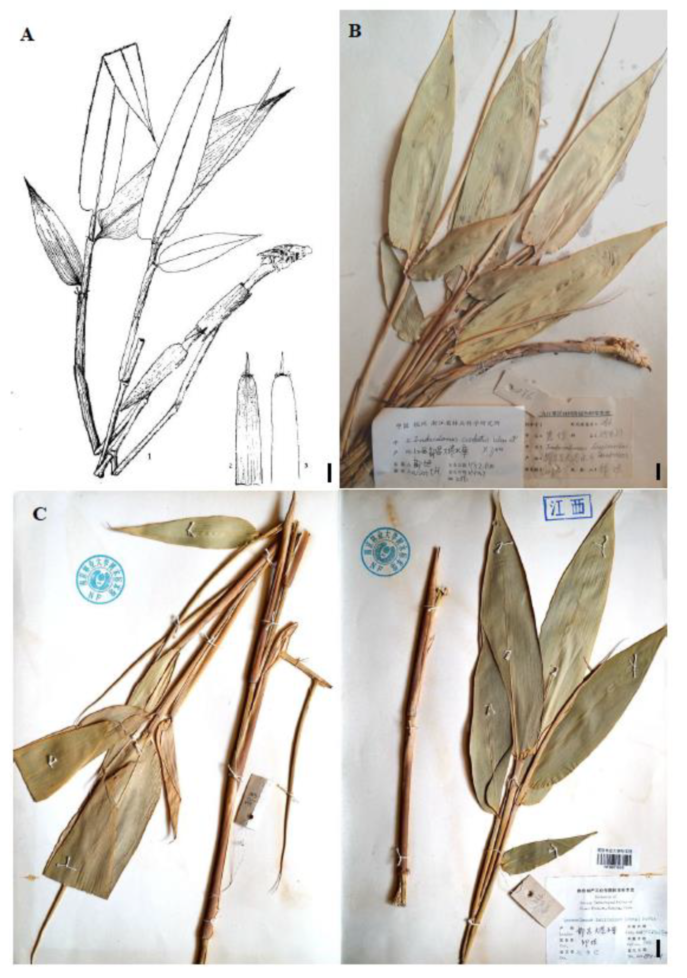 Preprints 146800 g003