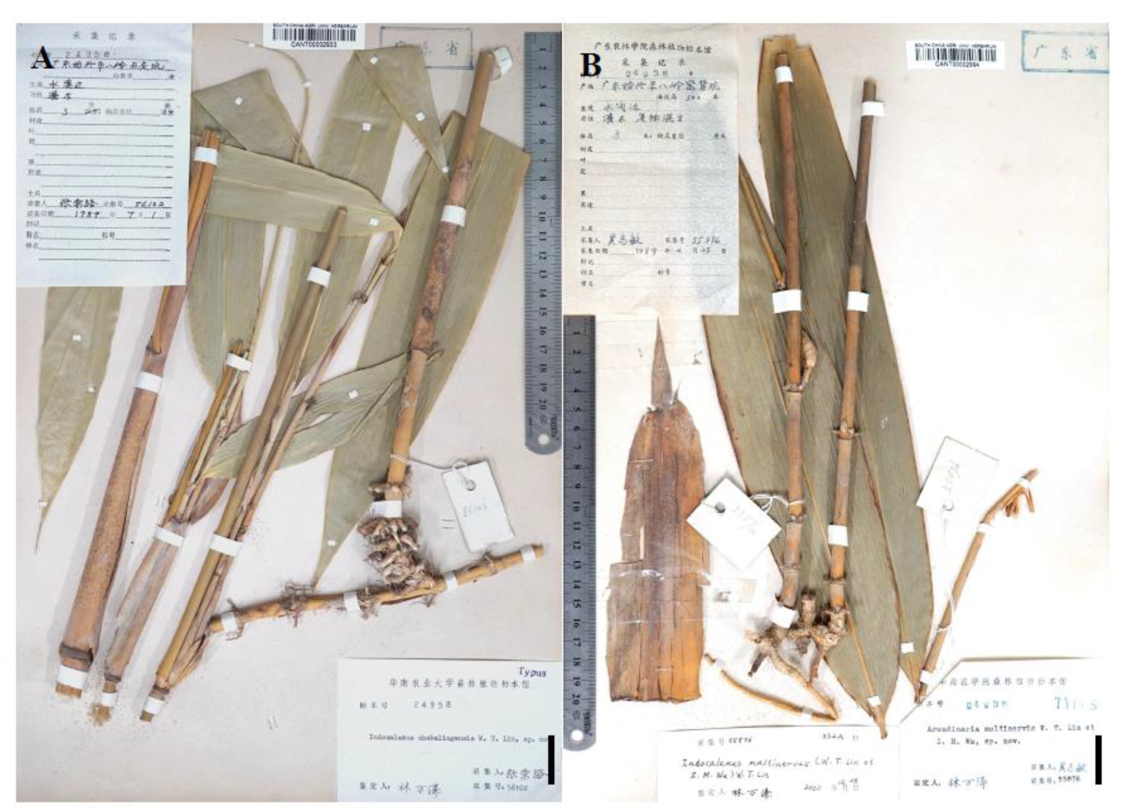 Preprints 146800 g006