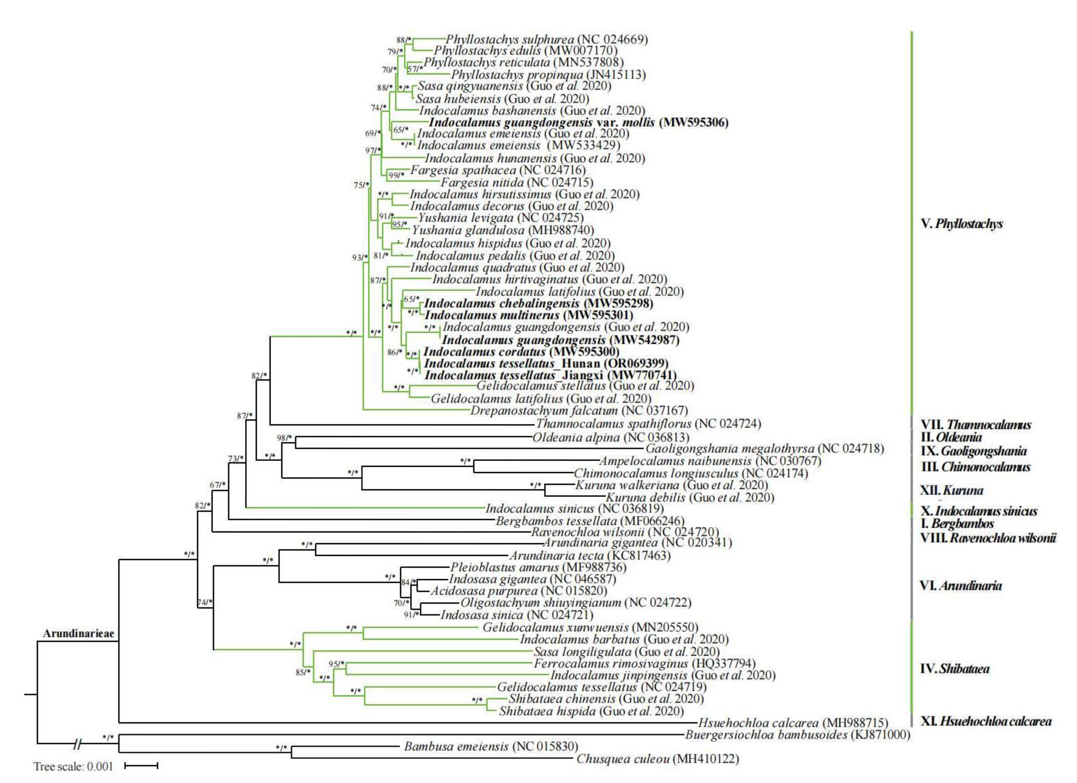 Preprints 146800 g009