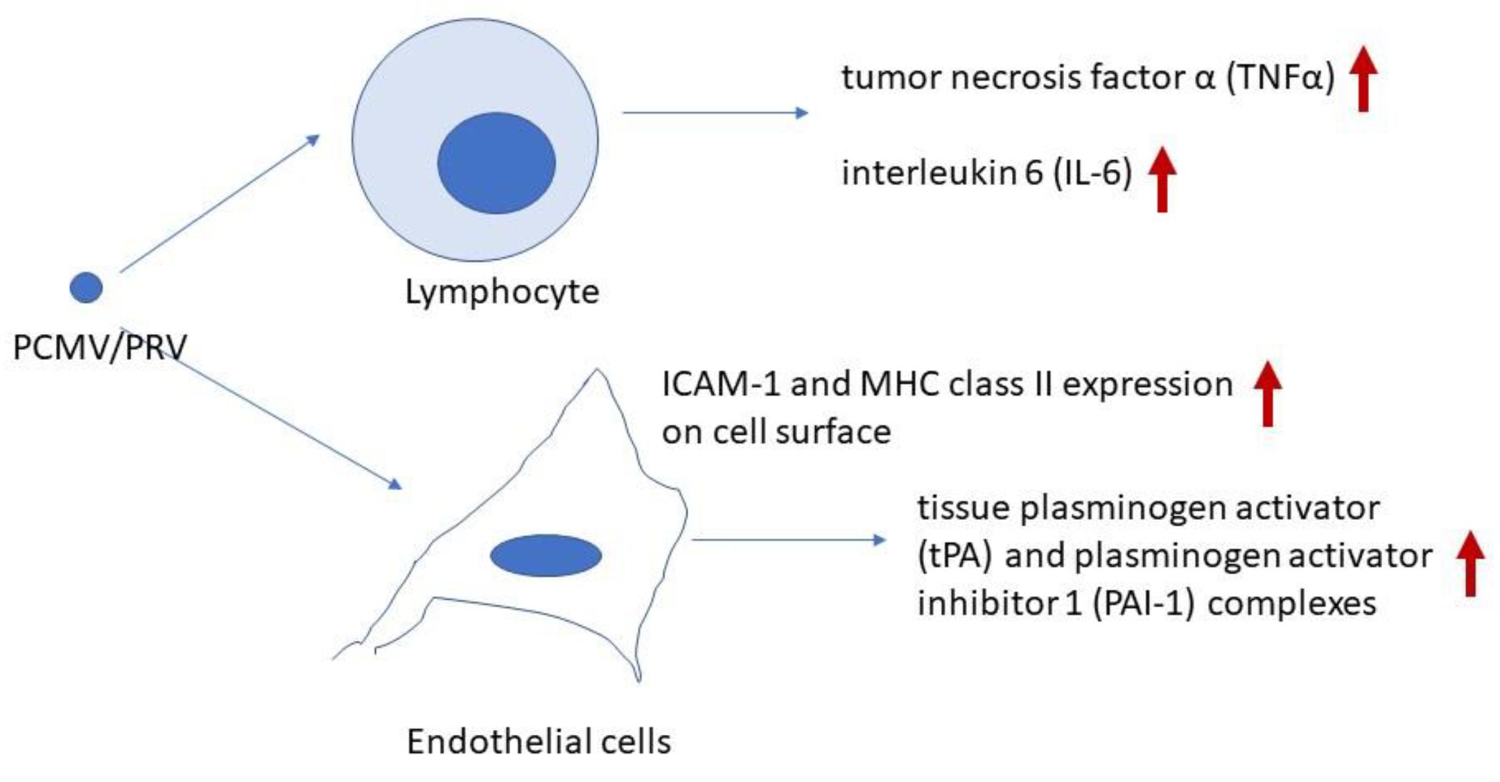 Preprints 149420 g001