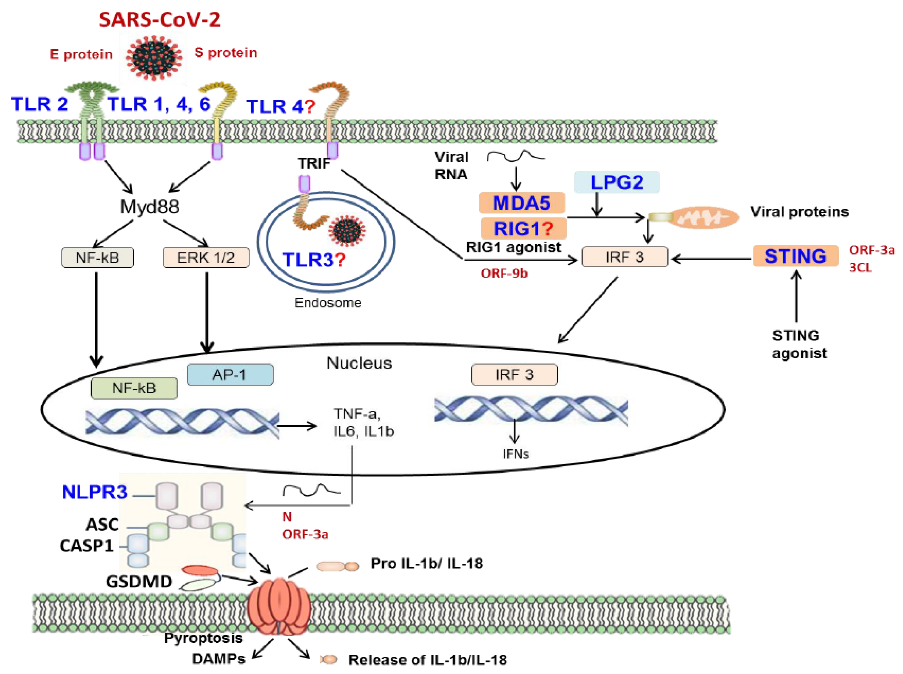 Preprints 107595 g001