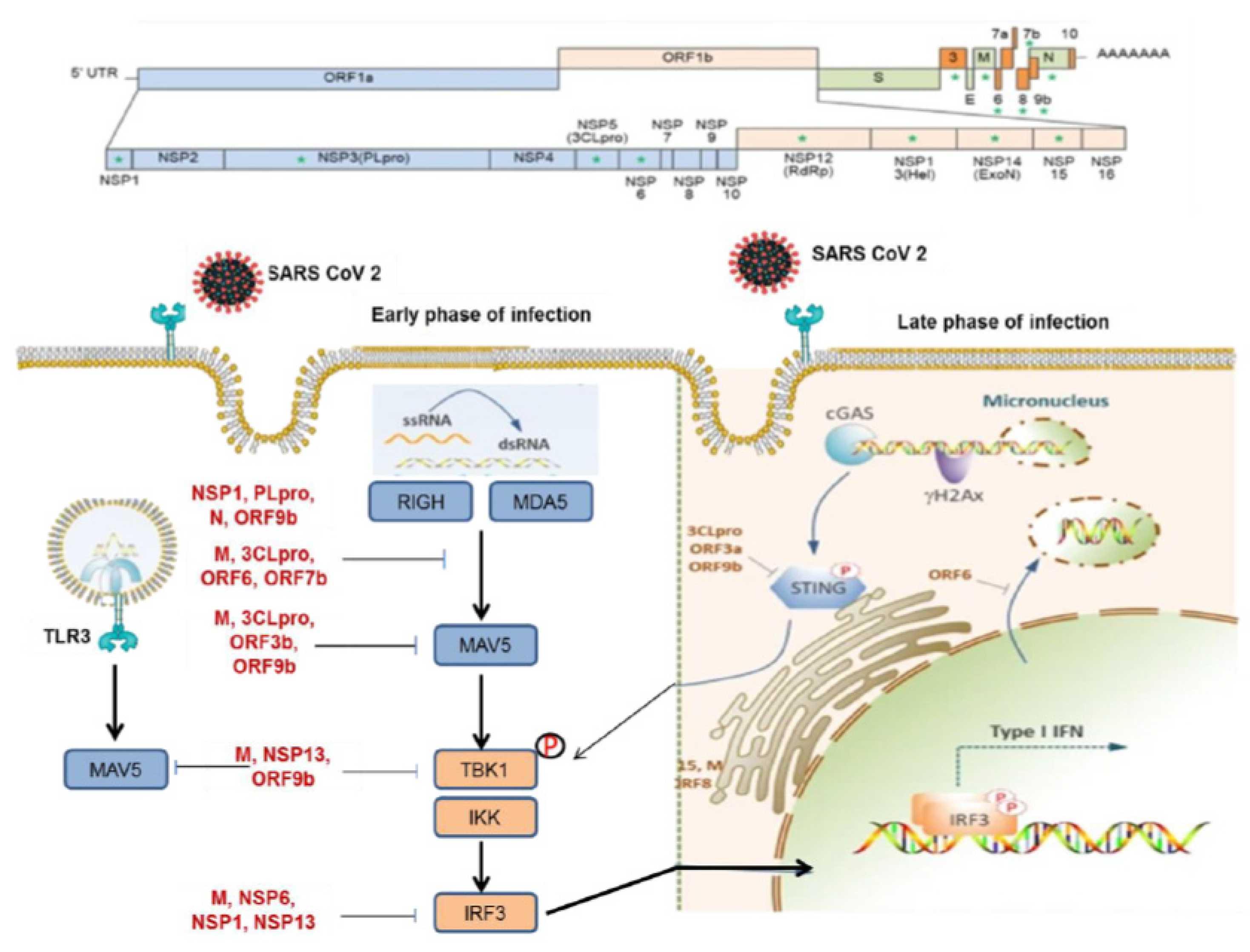Preprints 107595 g002
