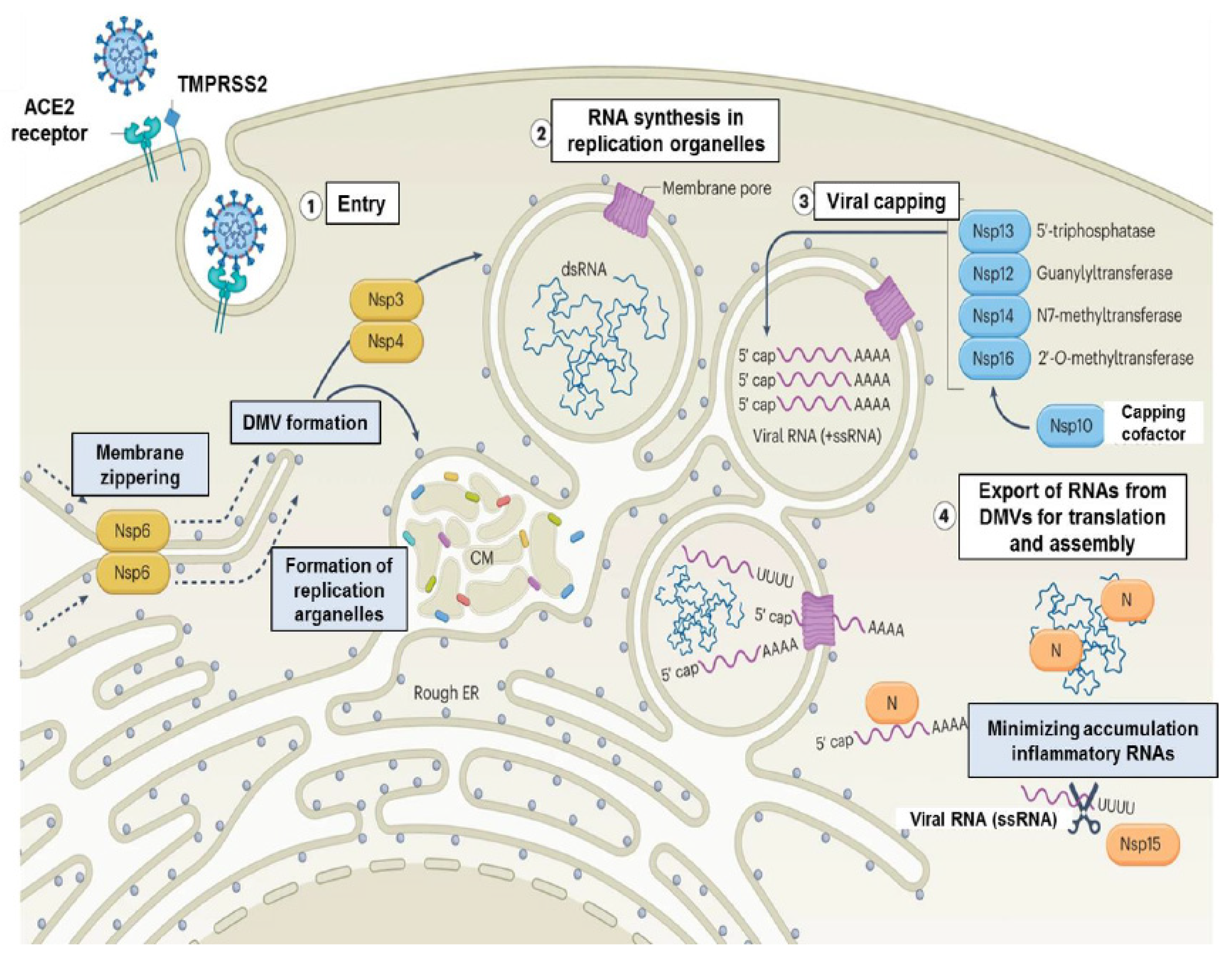 Preprints 107595 g004