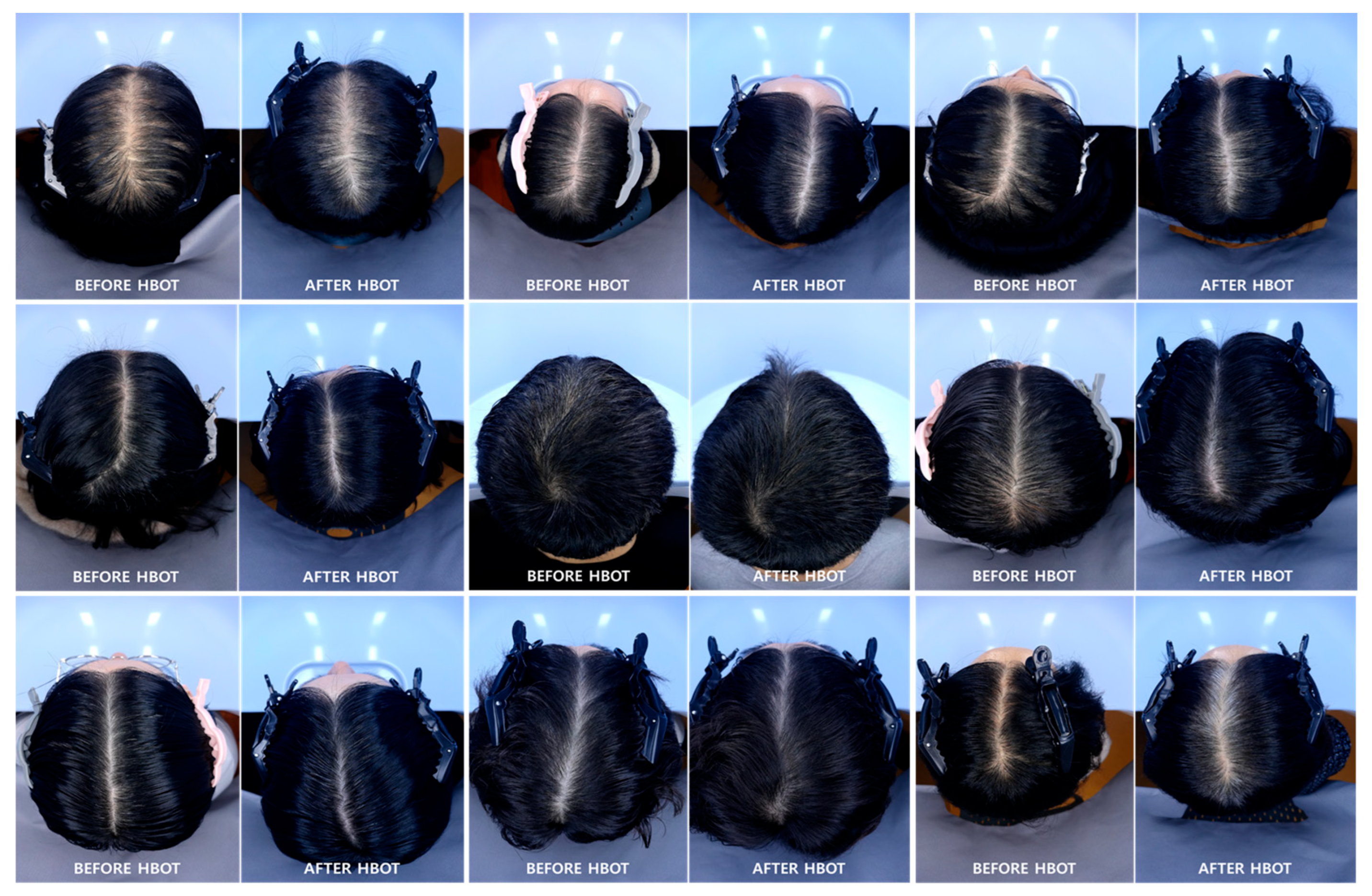 Preprints 196804 g003
