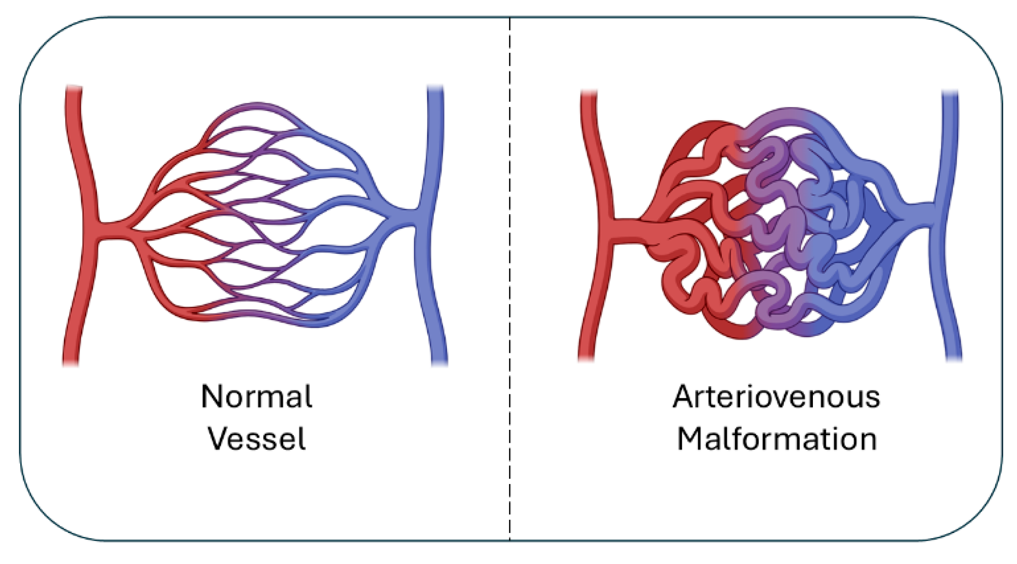 Preprints 182706 g001
