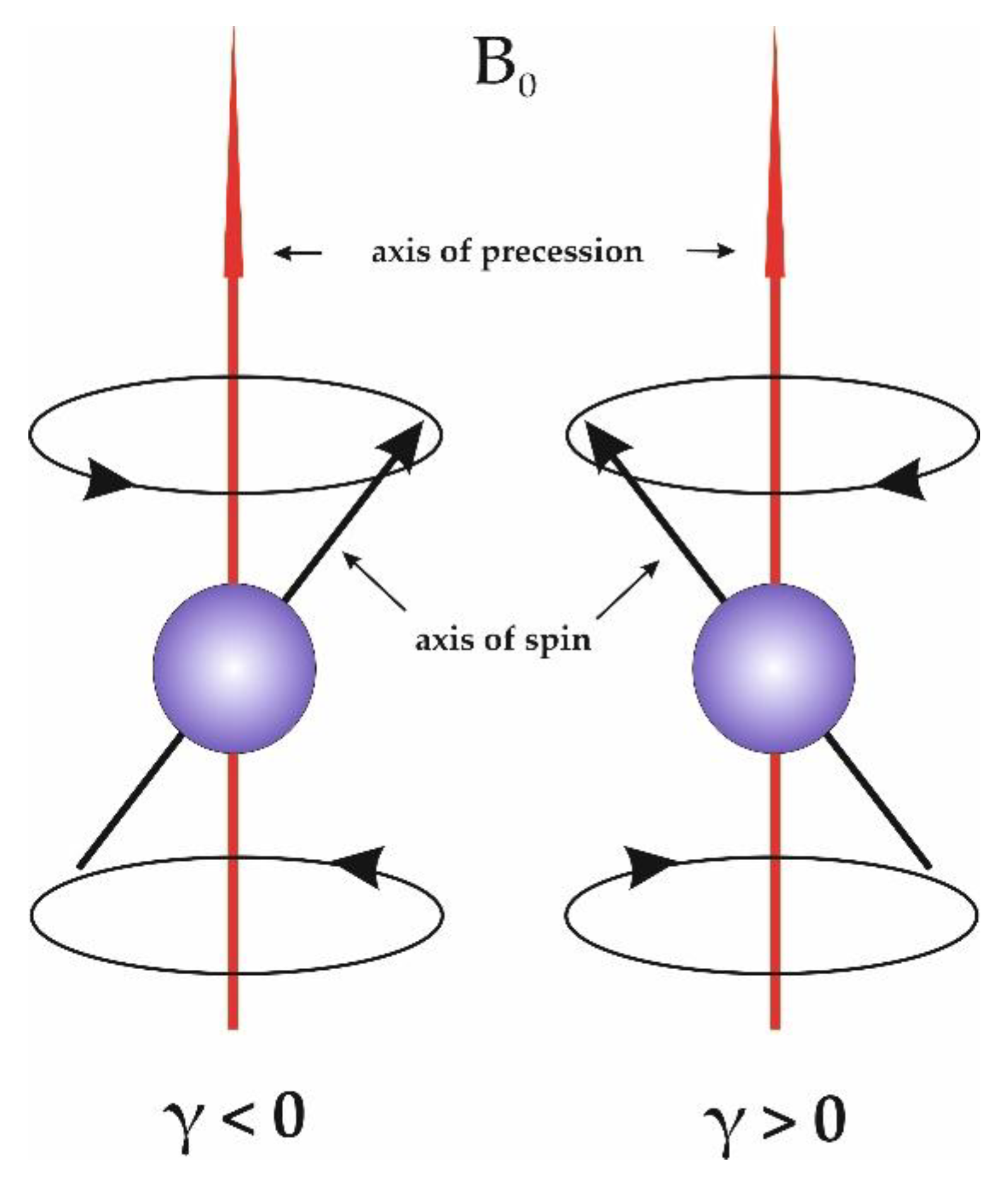 Preprints 187799 g002
