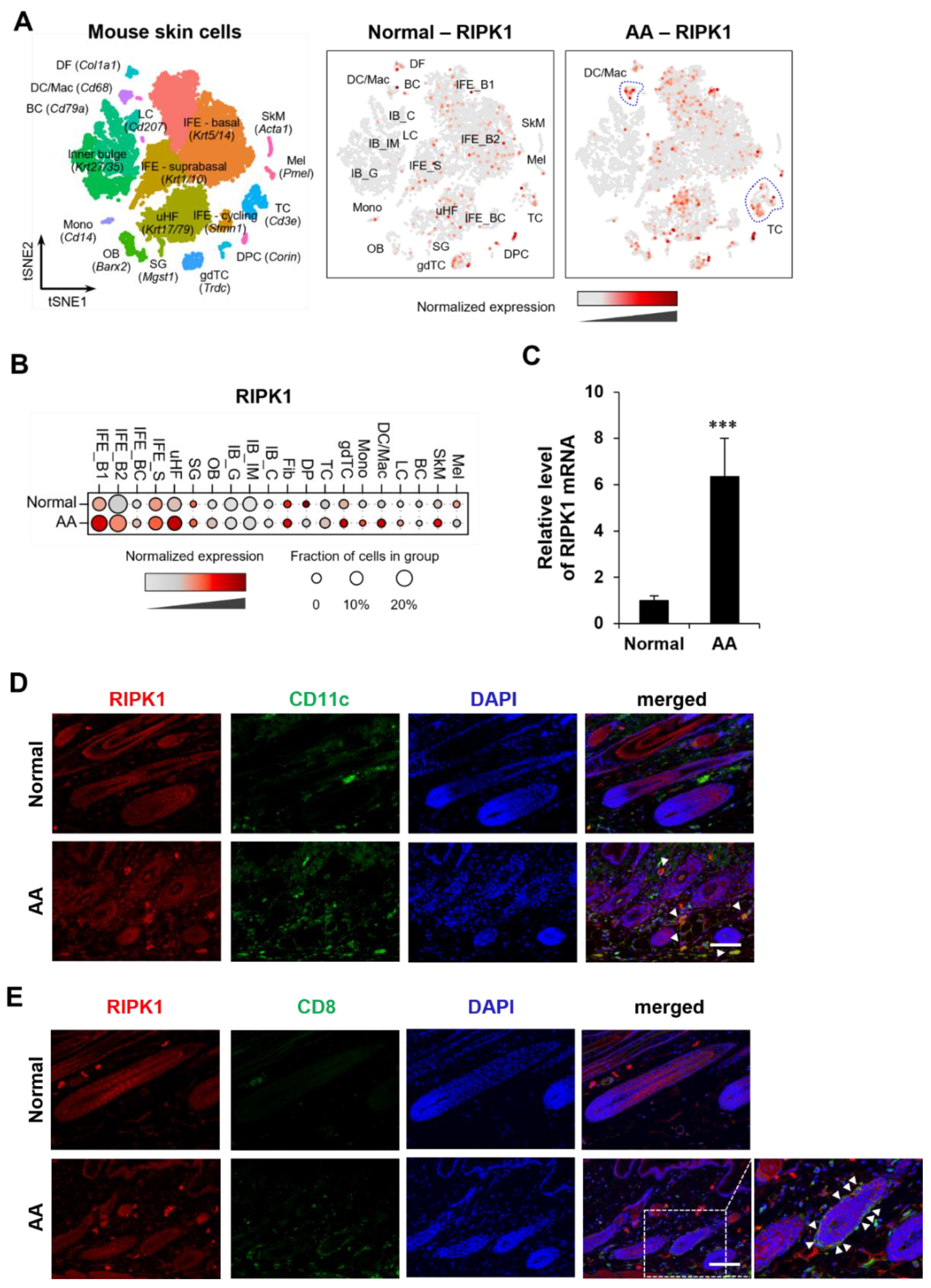 Preprints 116967 g001