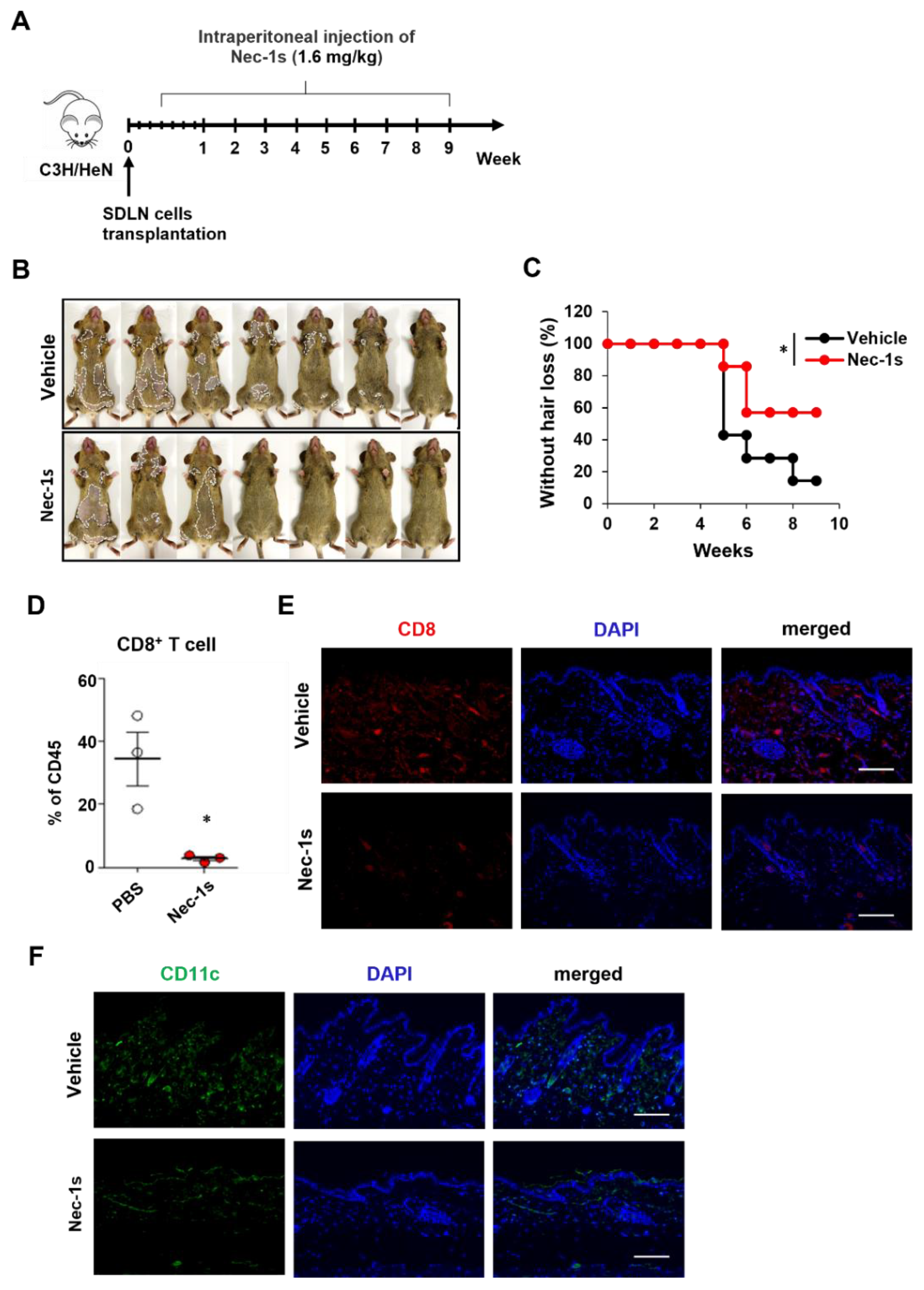Preprints 116967 g002