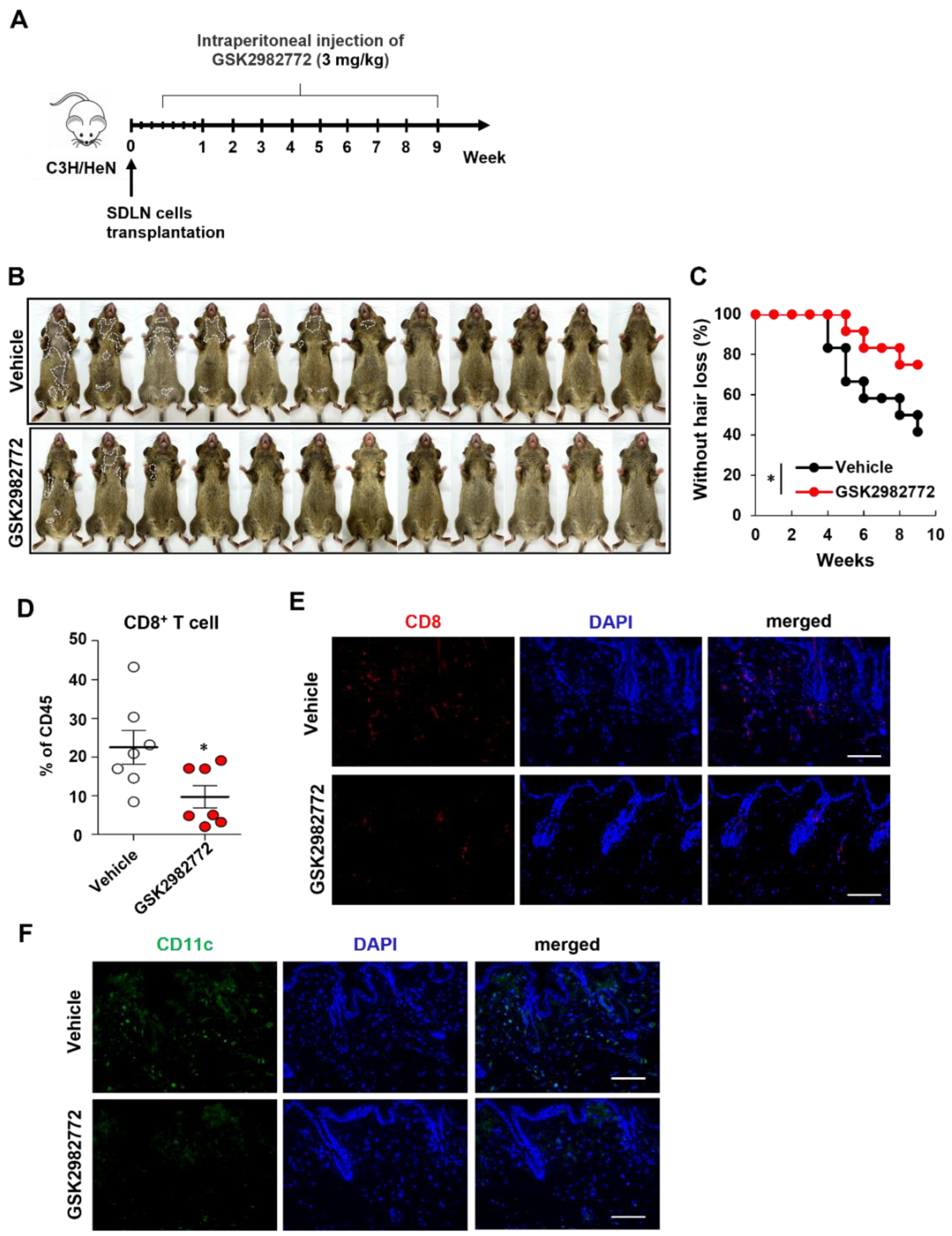 Preprints 116967 g003