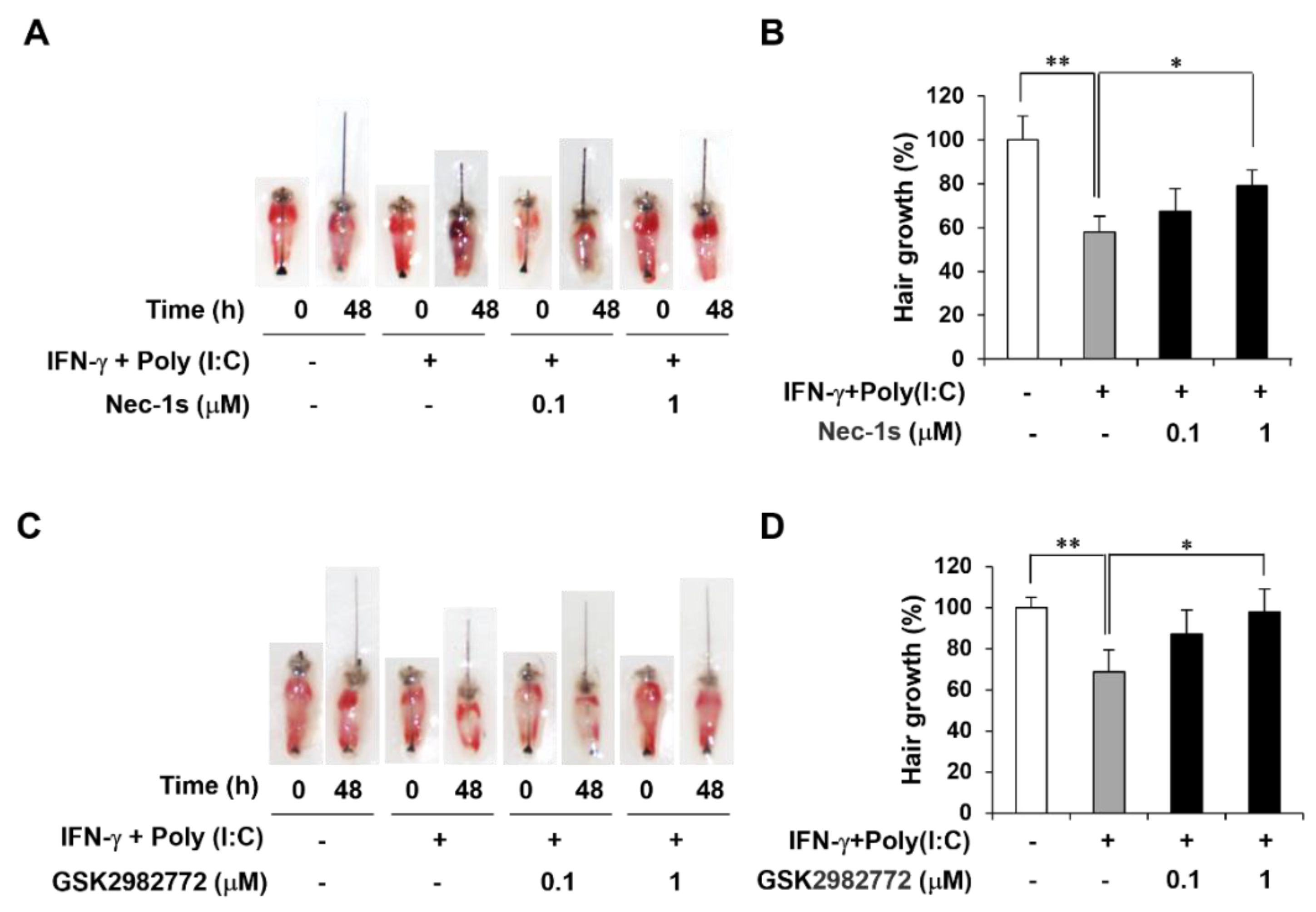 Preprints 116967 g004