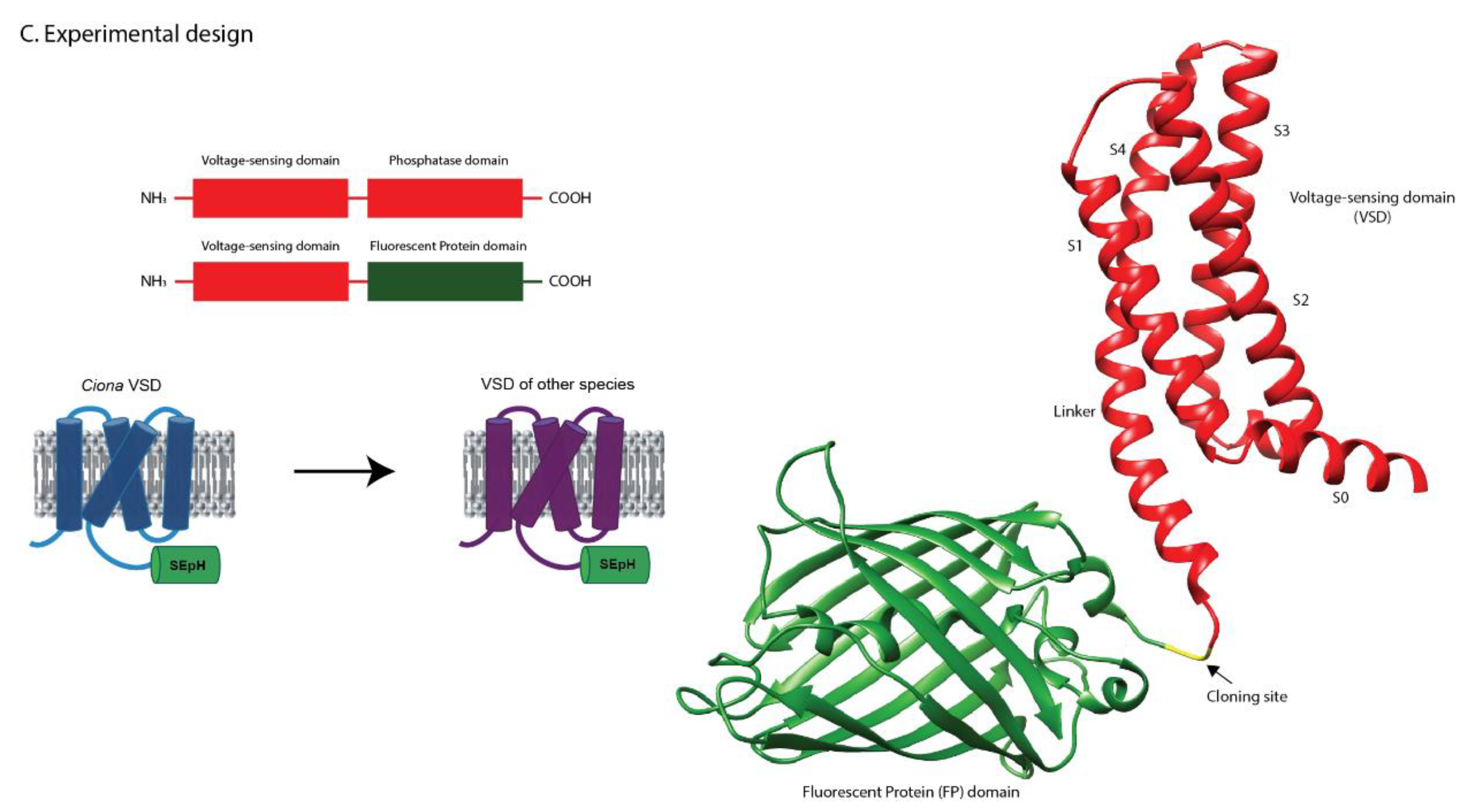 Preprints 178171 g001b