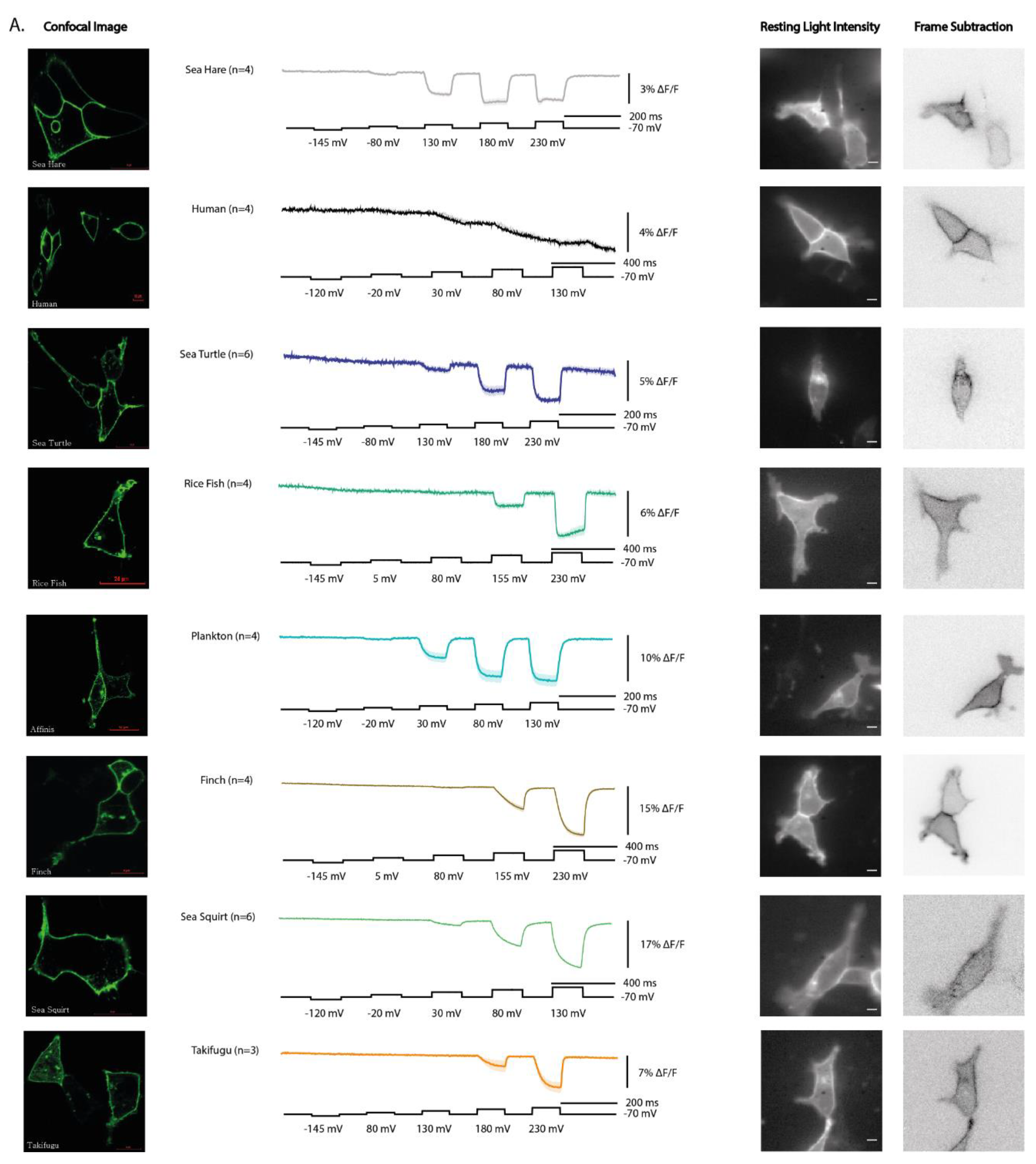 Preprints 178171 g002a