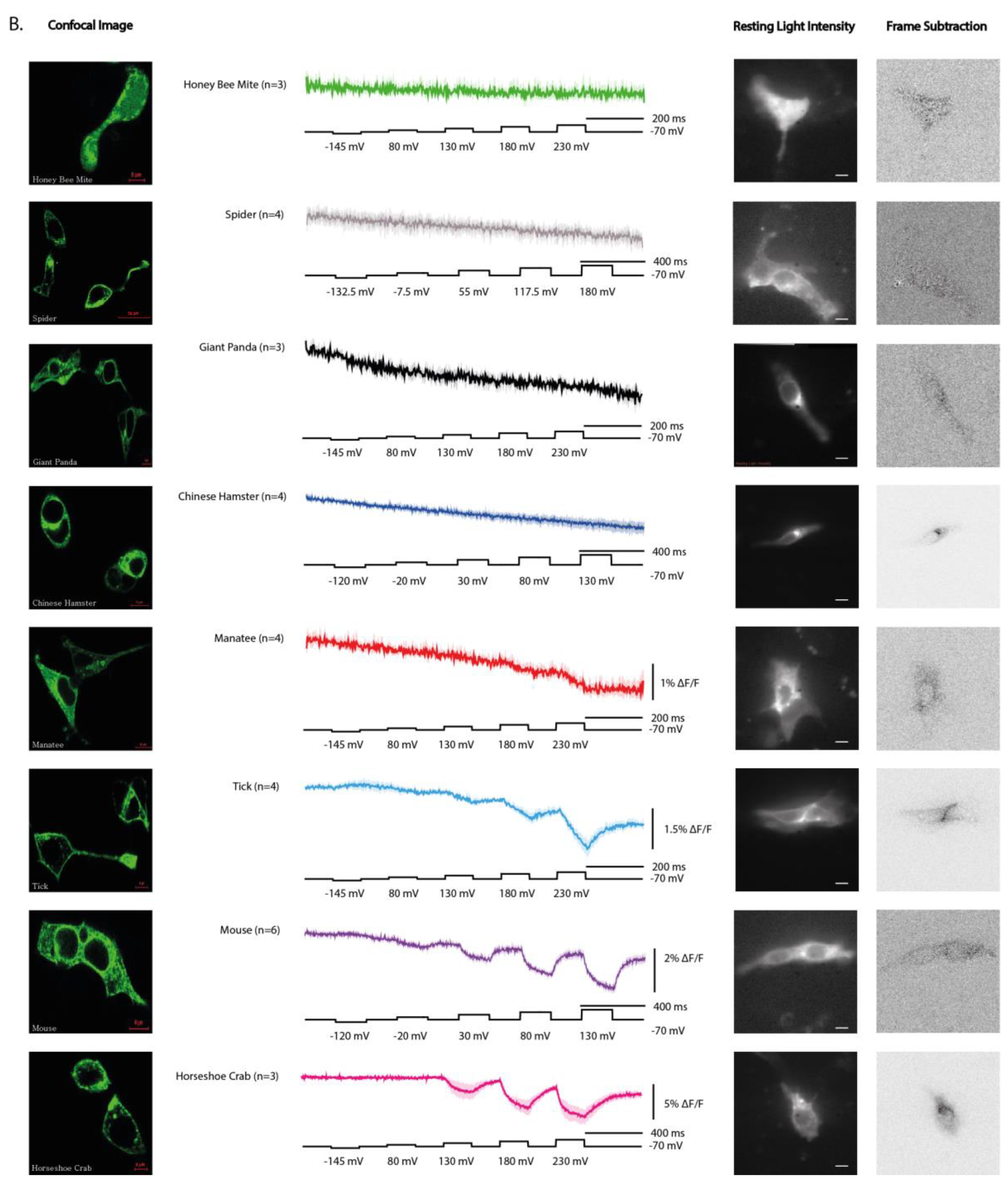 Preprints 178171 g002b