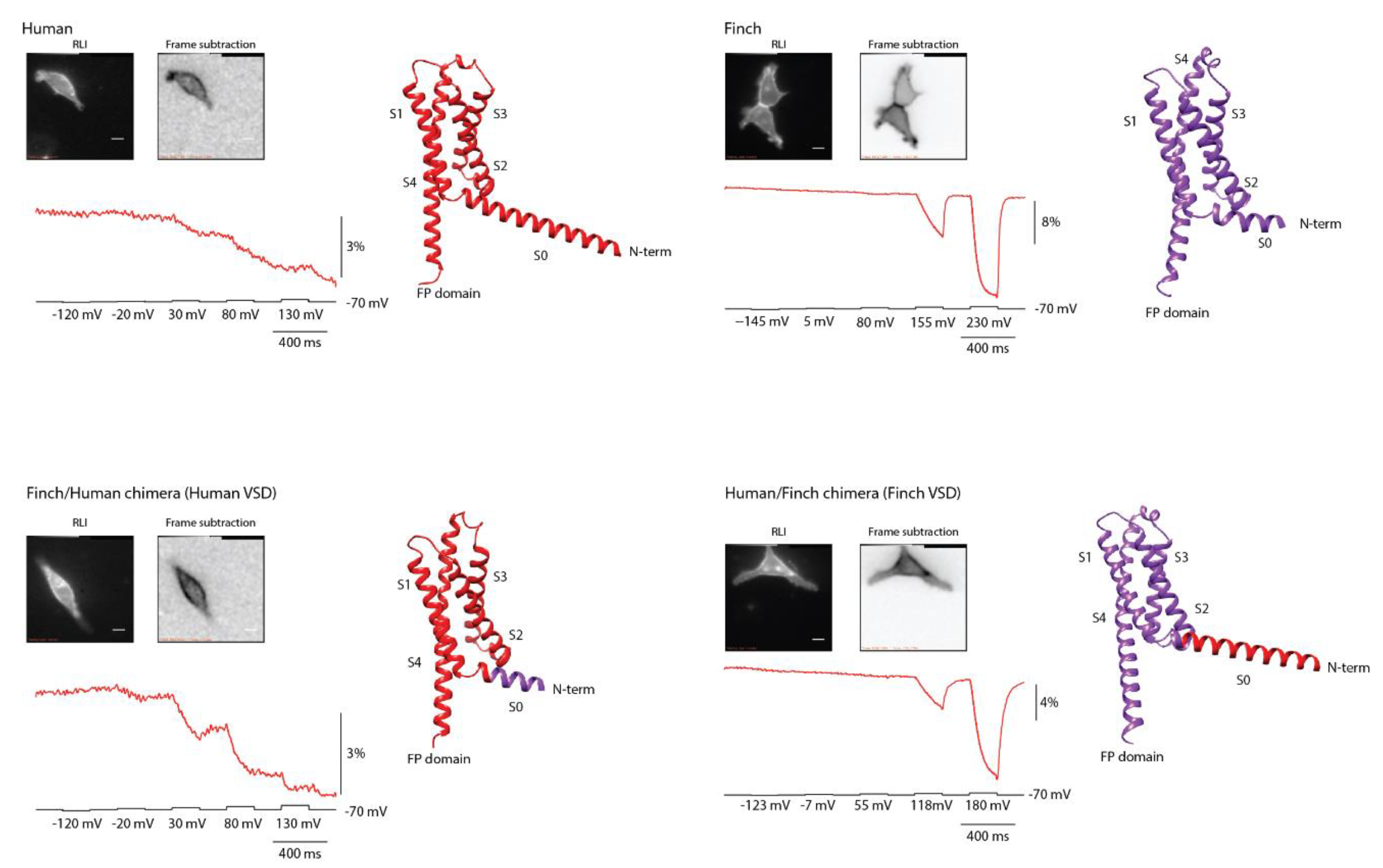 Preprints 178171 g003
