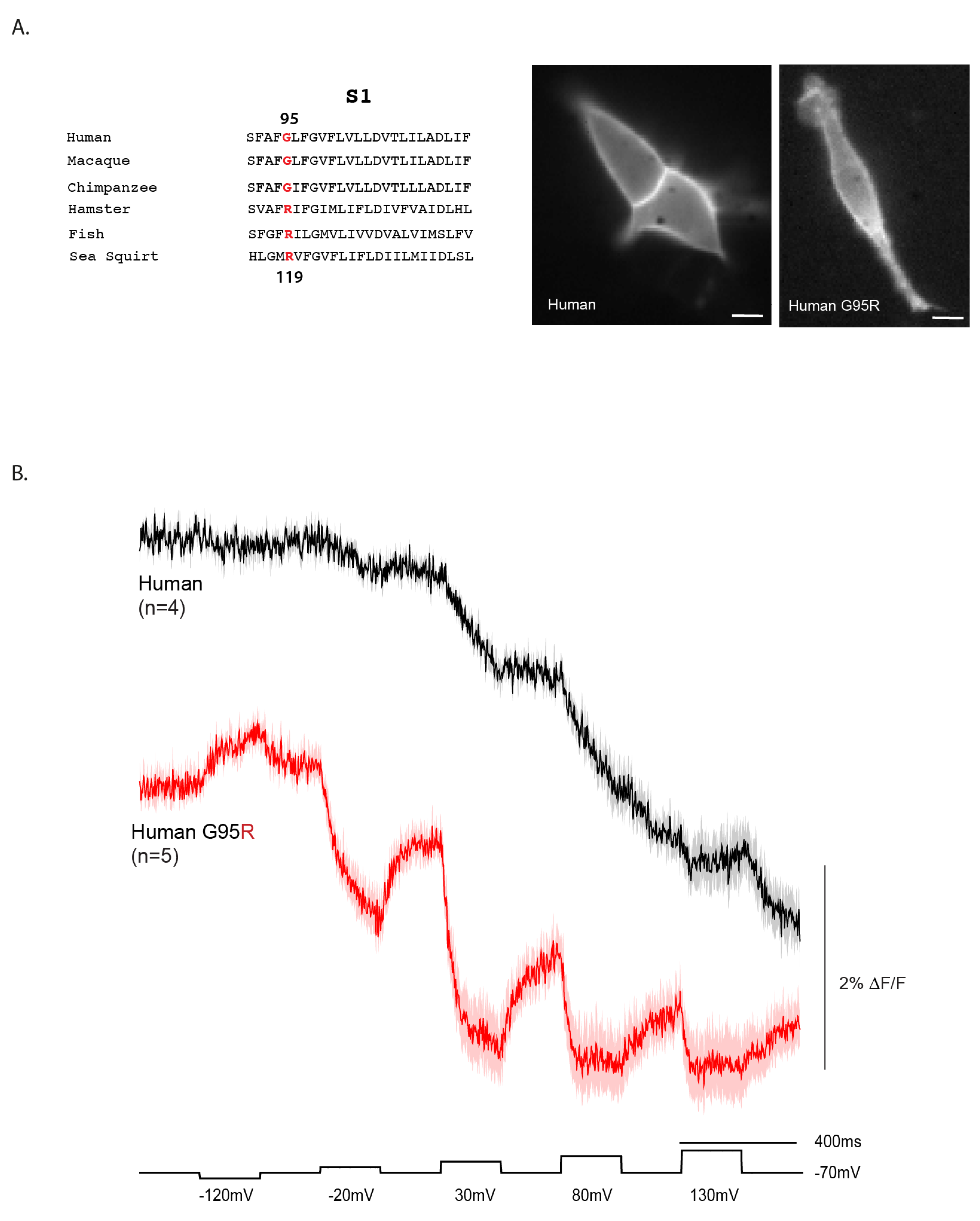 Preprints 178171 g004