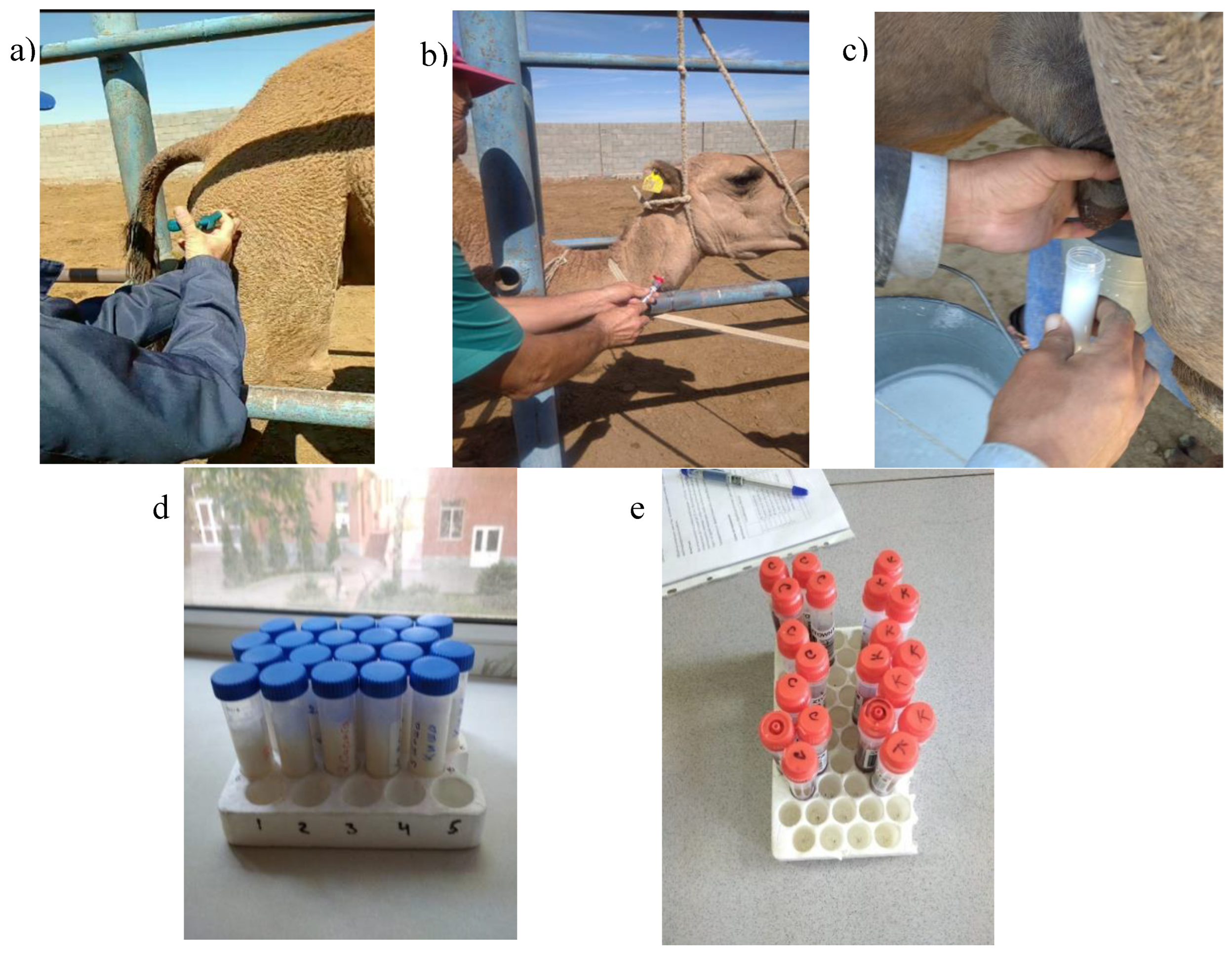 Preprints 179708 g001