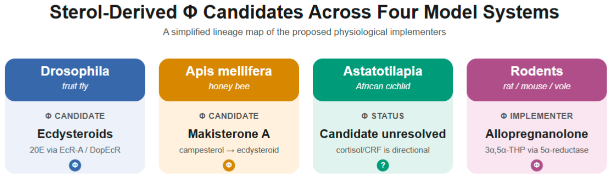 Preprints 224074 g006 Preprints 224074 g006