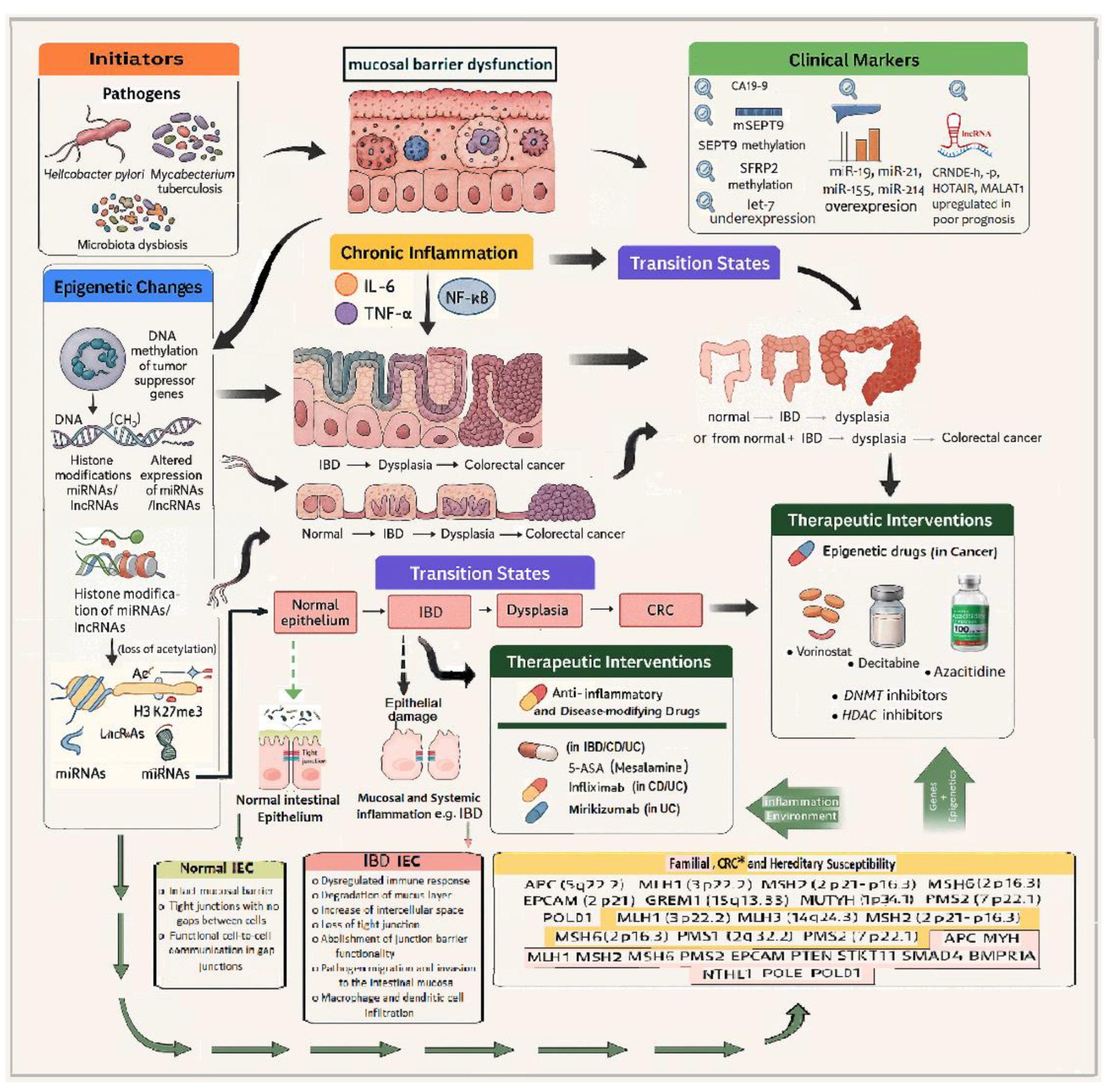 Integrating Inflammatory and Epigenetic Signatures in IBD