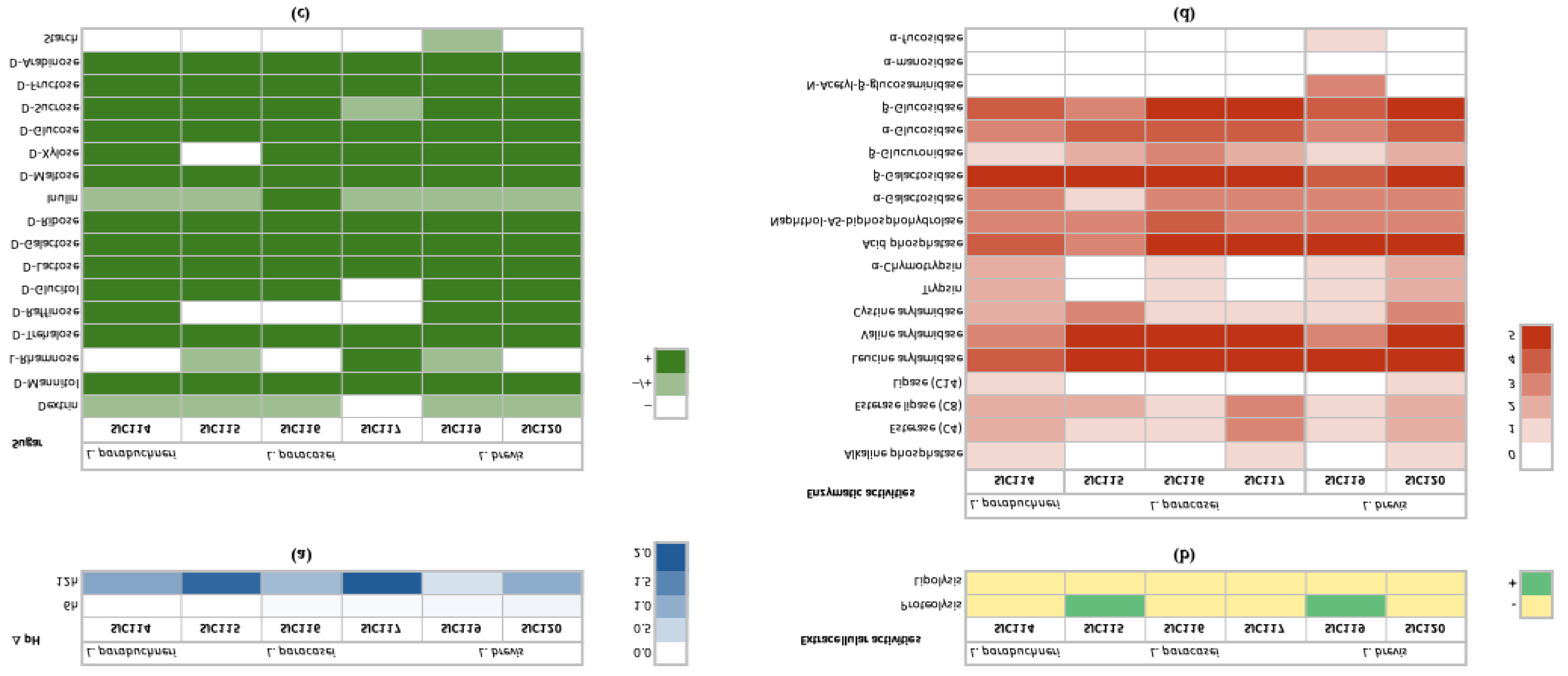 Preprints 216707 g001