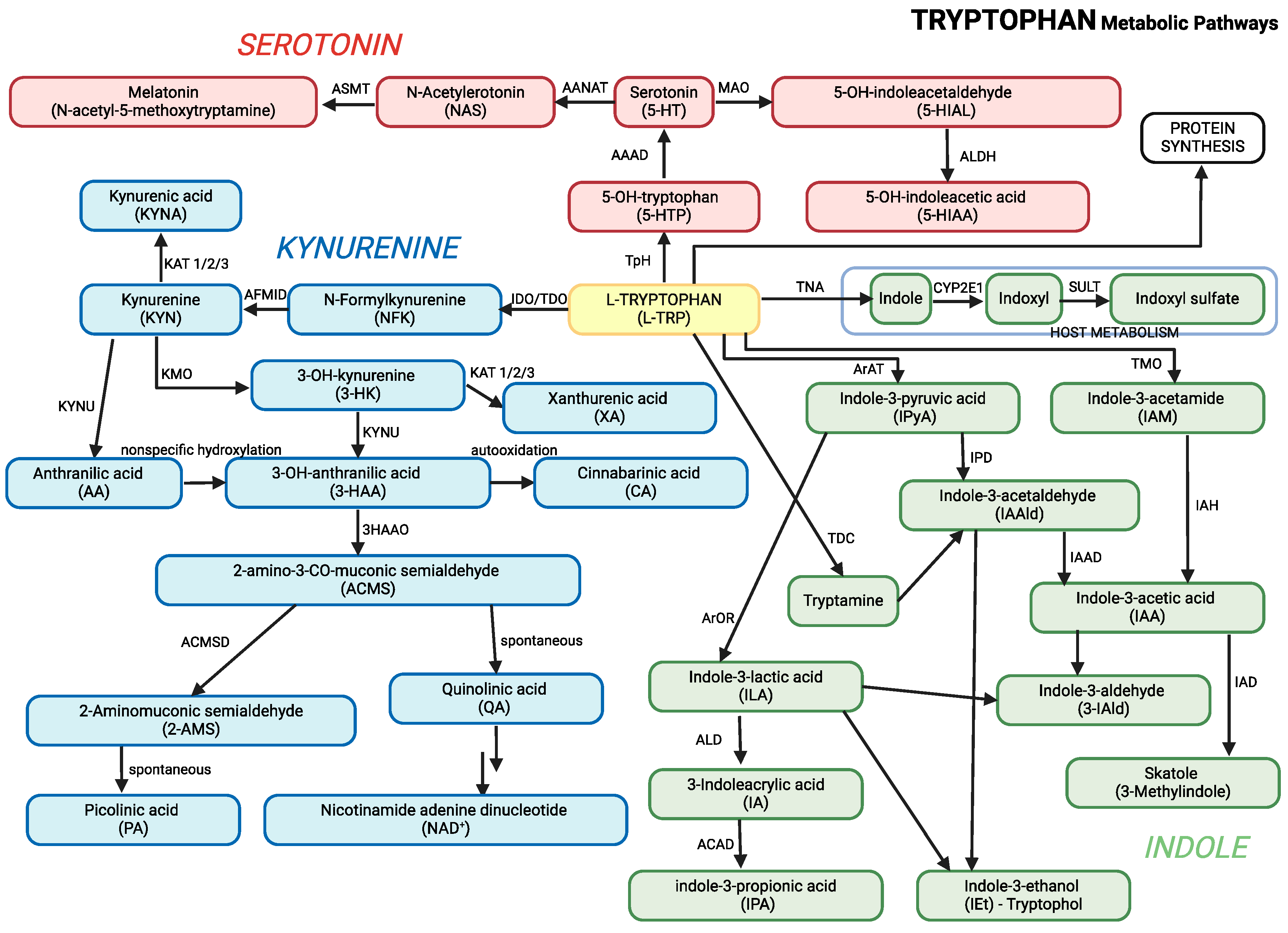 Preprints 143694 g001