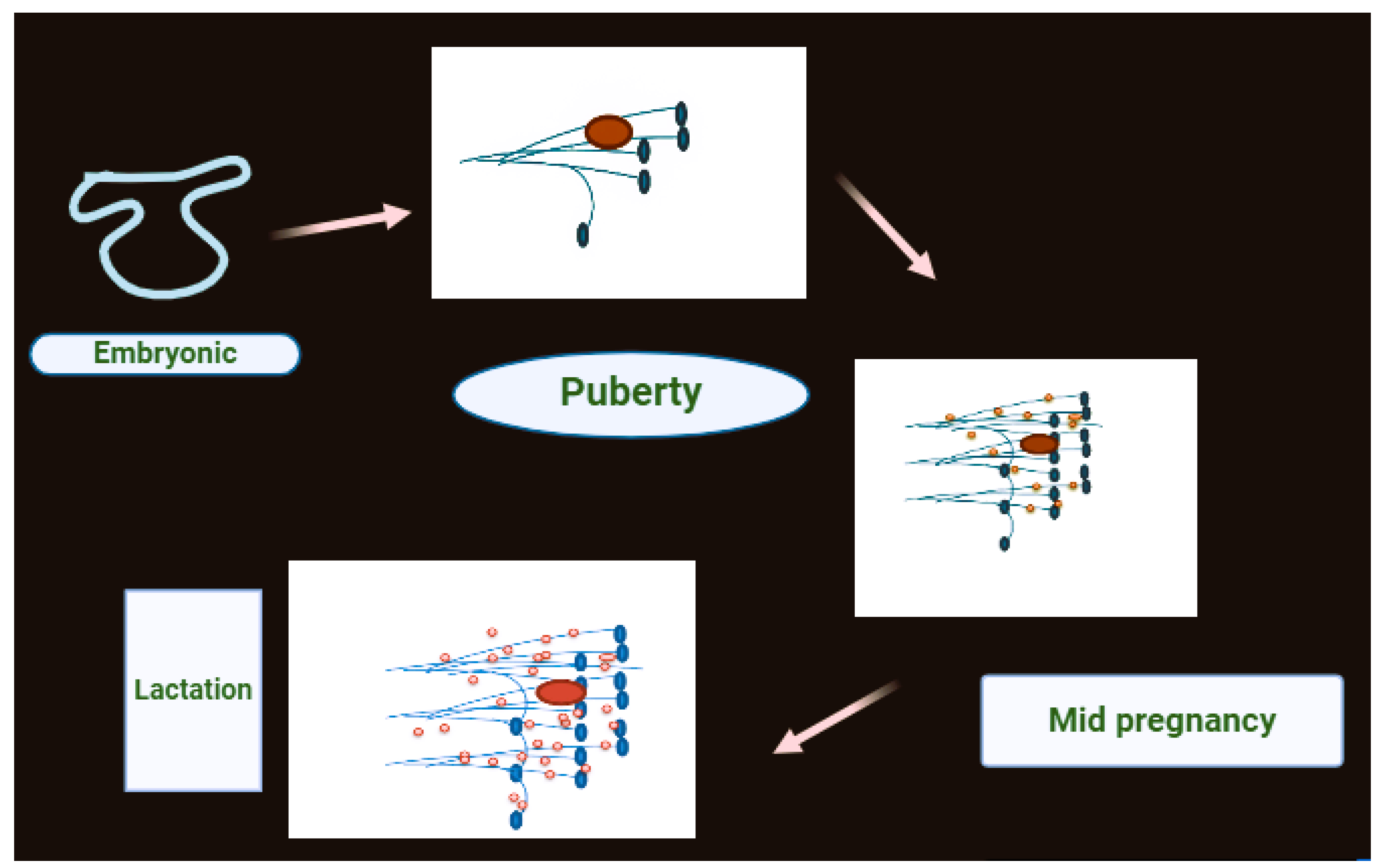 Preprints 148794 g003