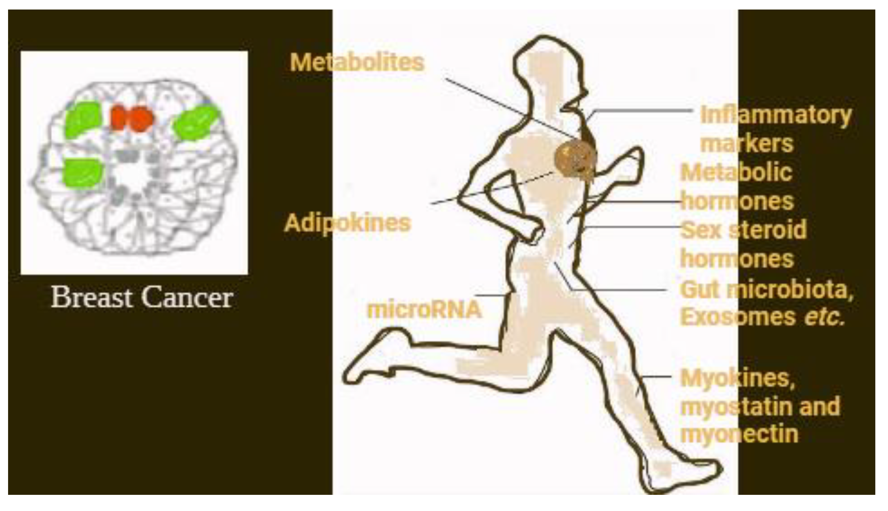 Preprints 148794 g005