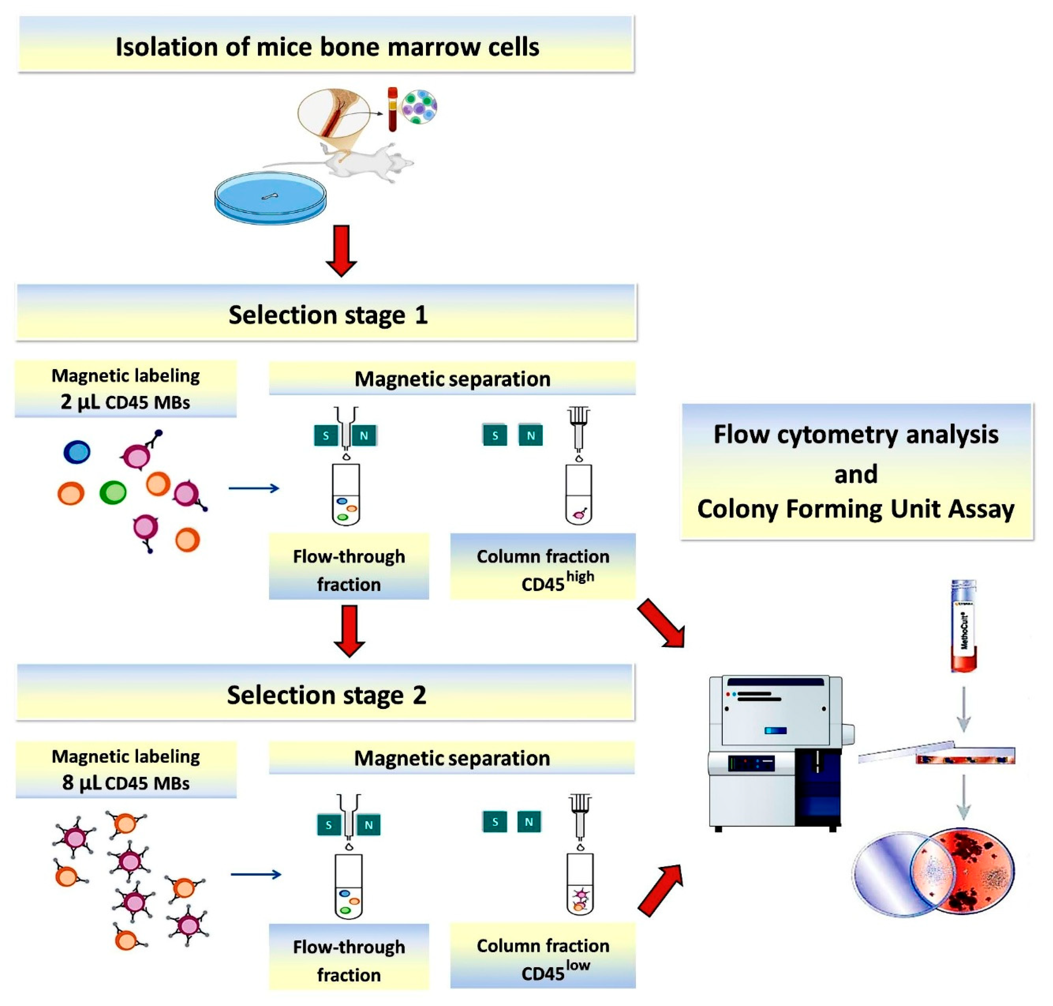 Preprints 206495 g001