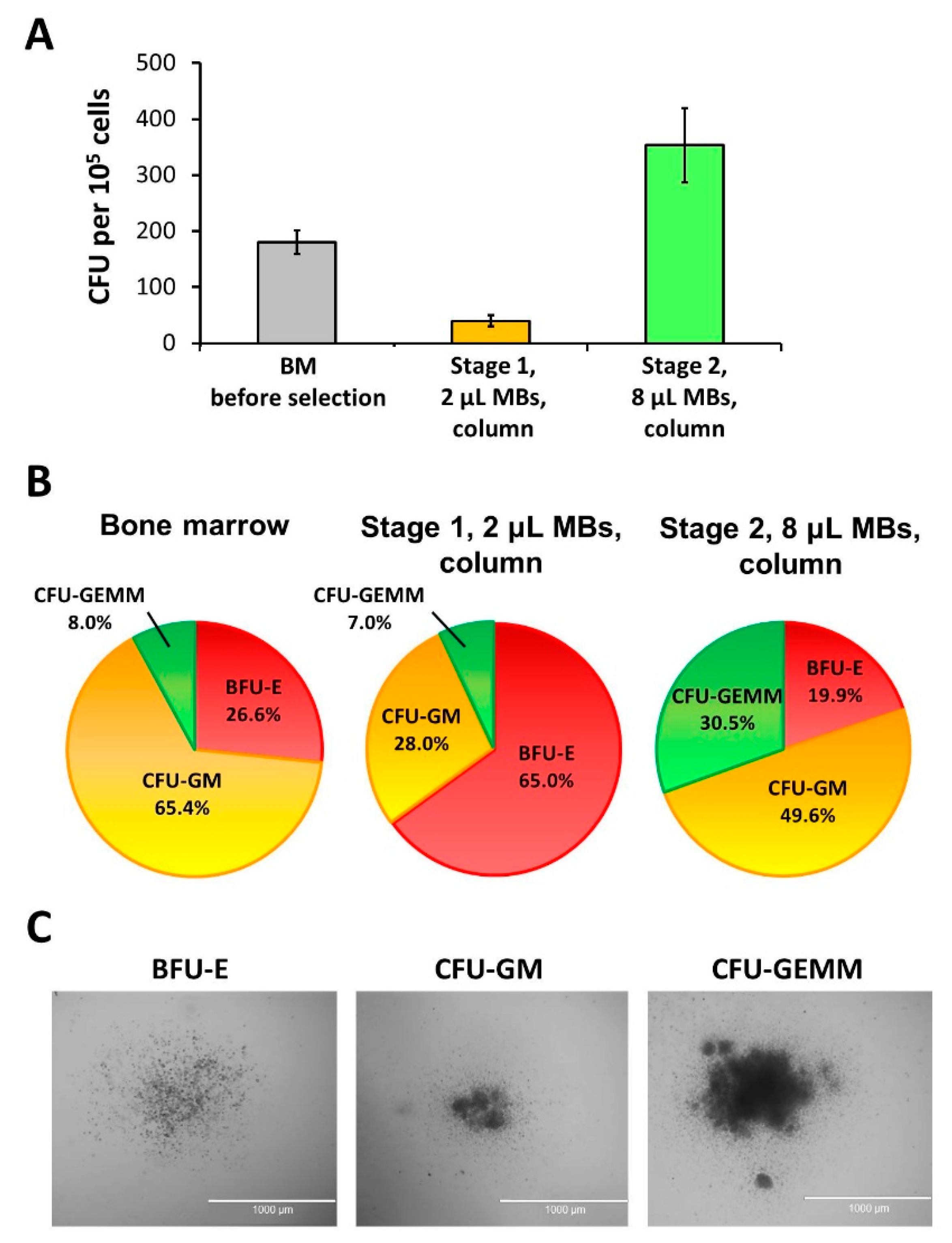 Preprints 206495 g004