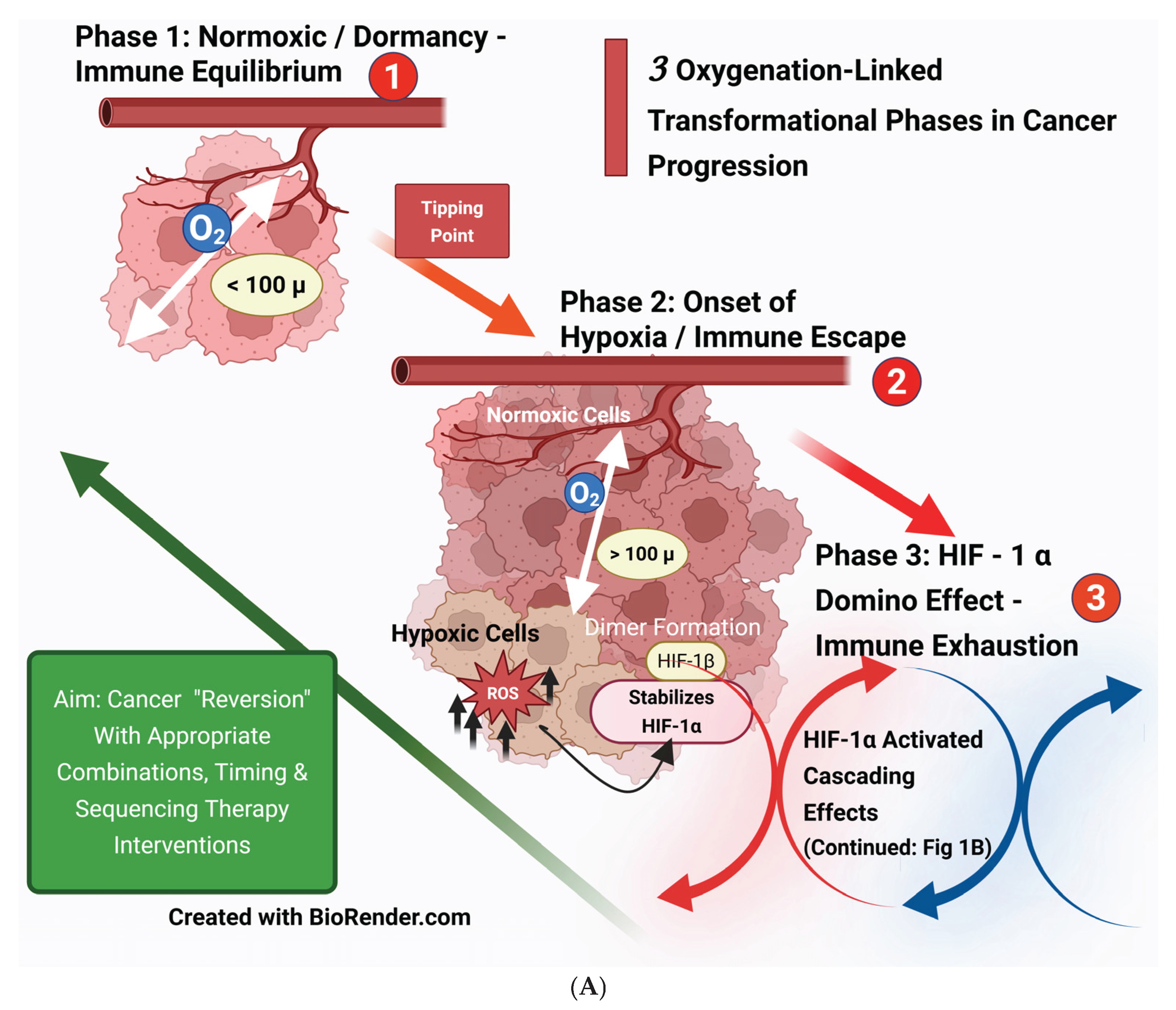 Preprints 163978 g001a