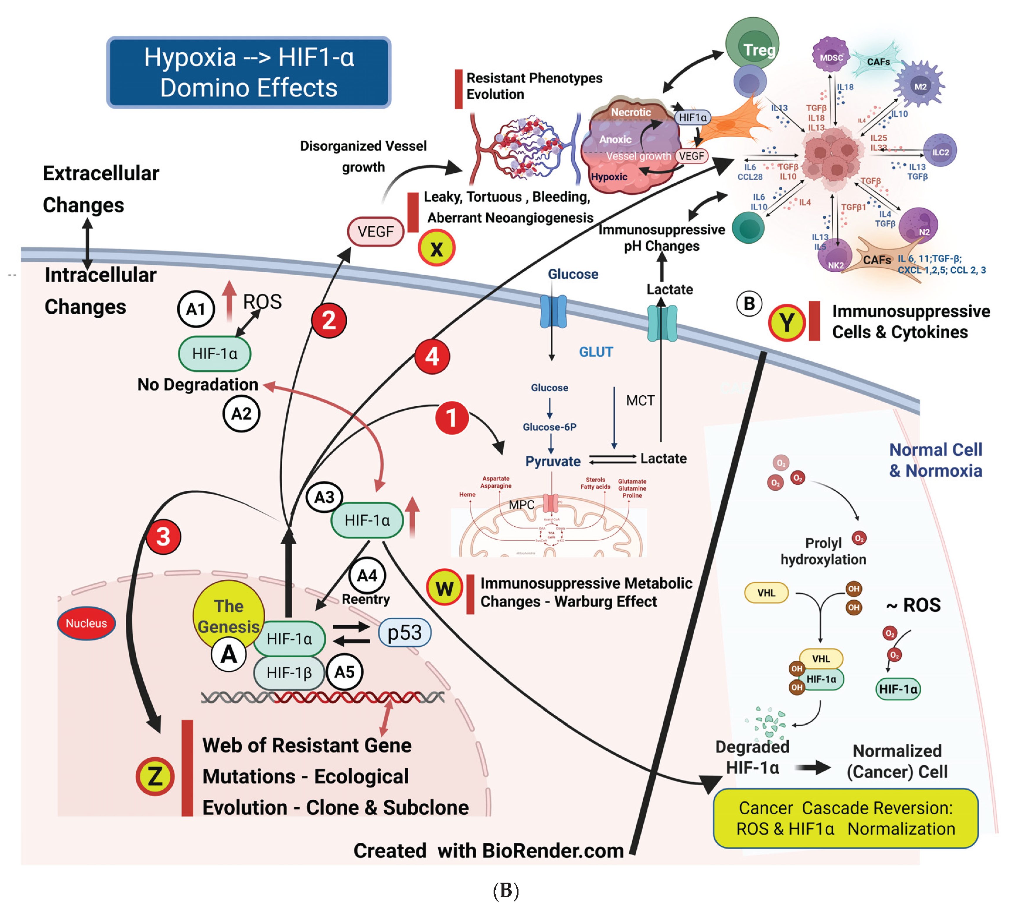 Preprints 163978 g001b