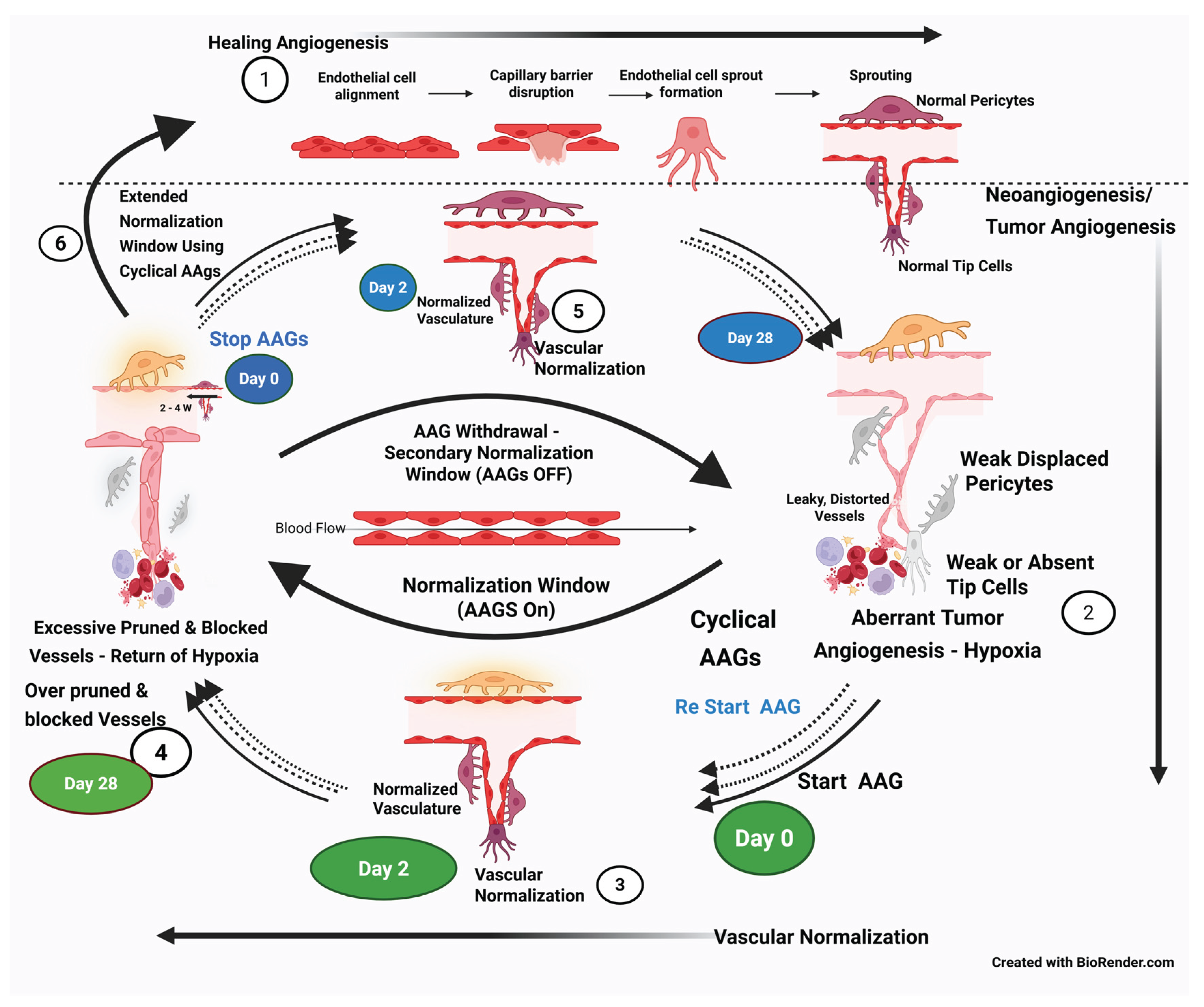 Preprints 163978 g002