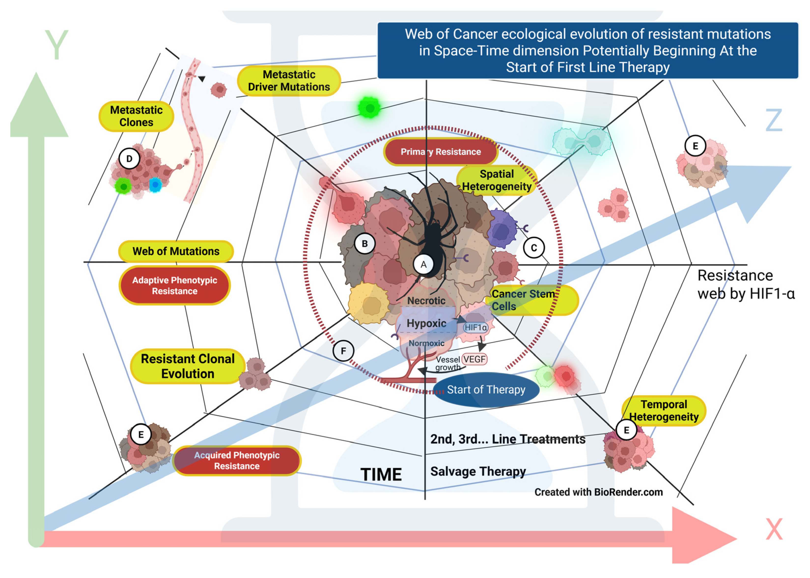 Preprints 163978 g003