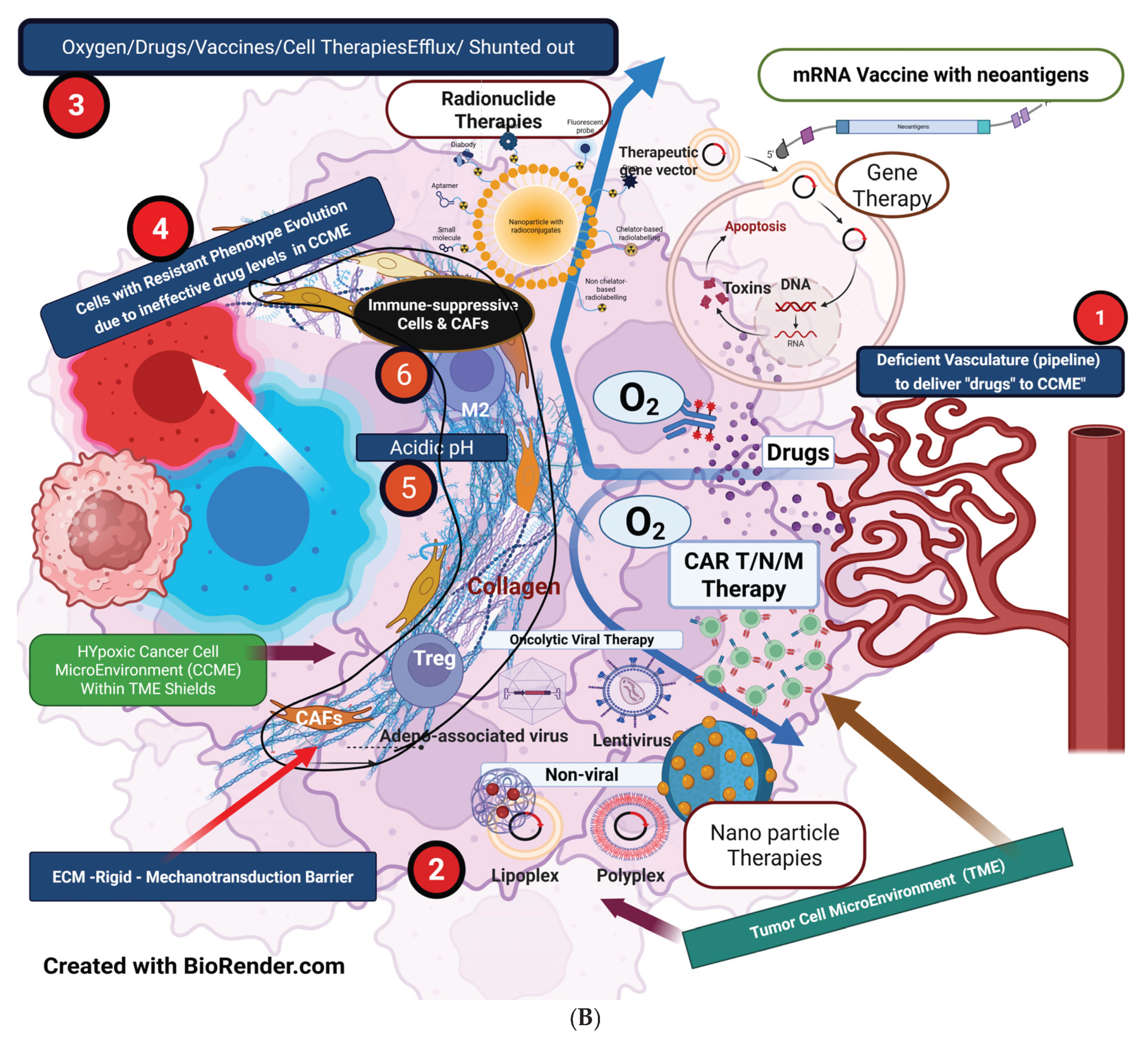 Preprints 163978 g004b
