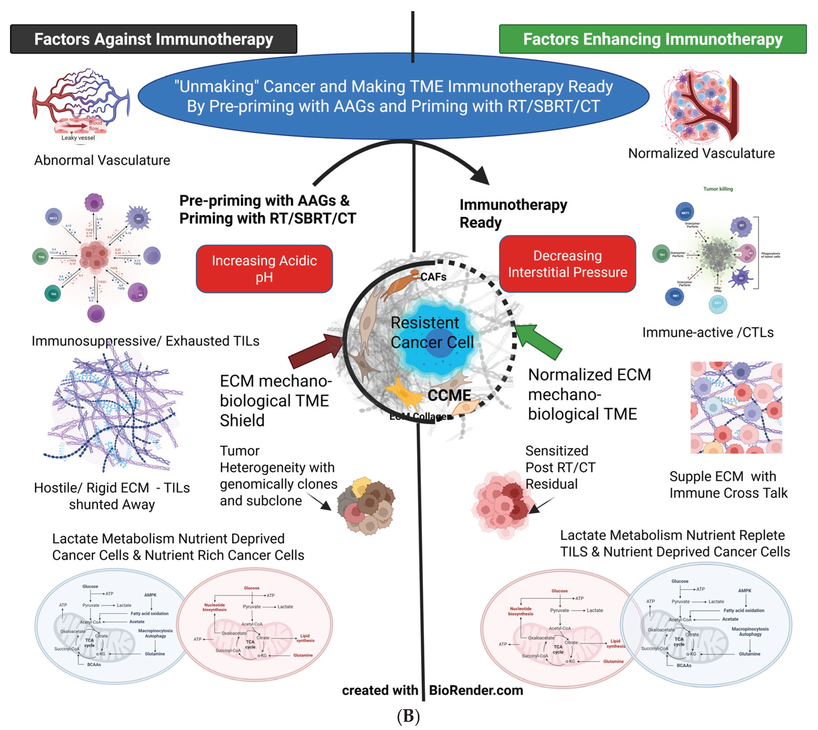 Preprints 163978 g007b