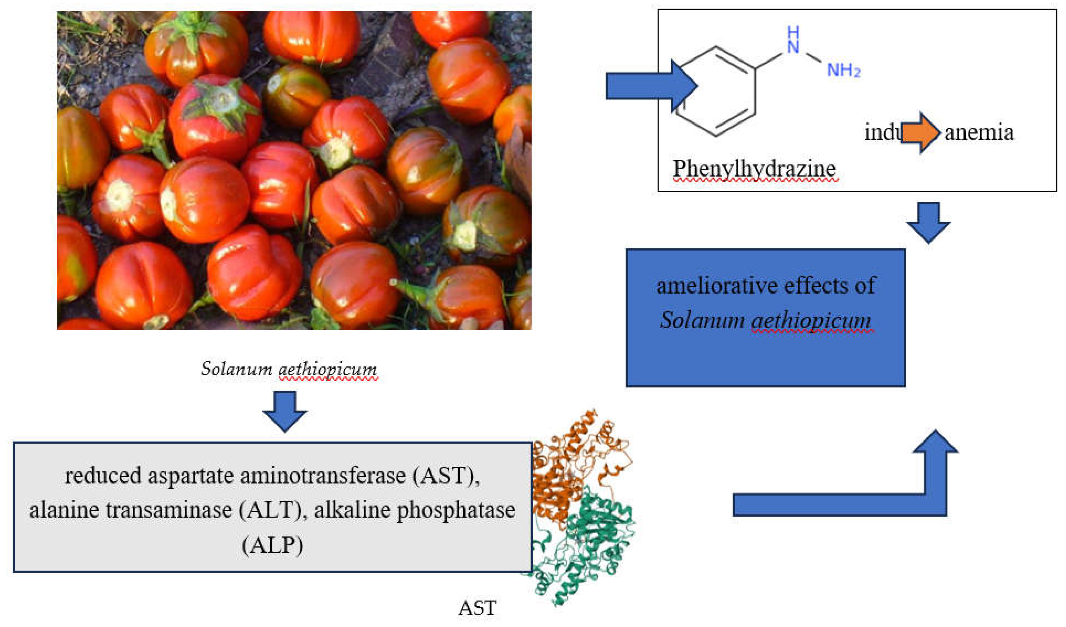 Preprints 121163 g001