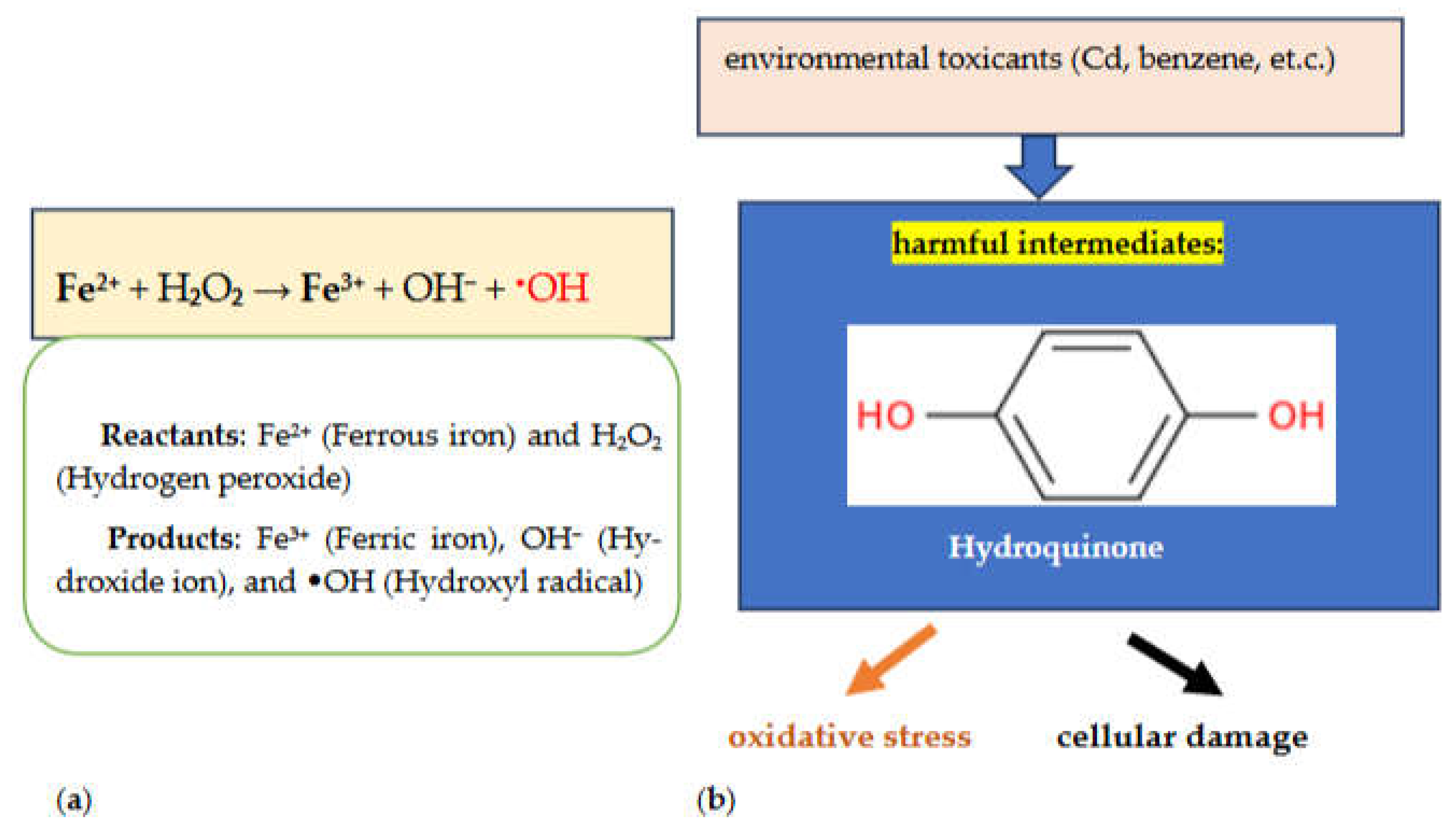 Preprints 121163 g003