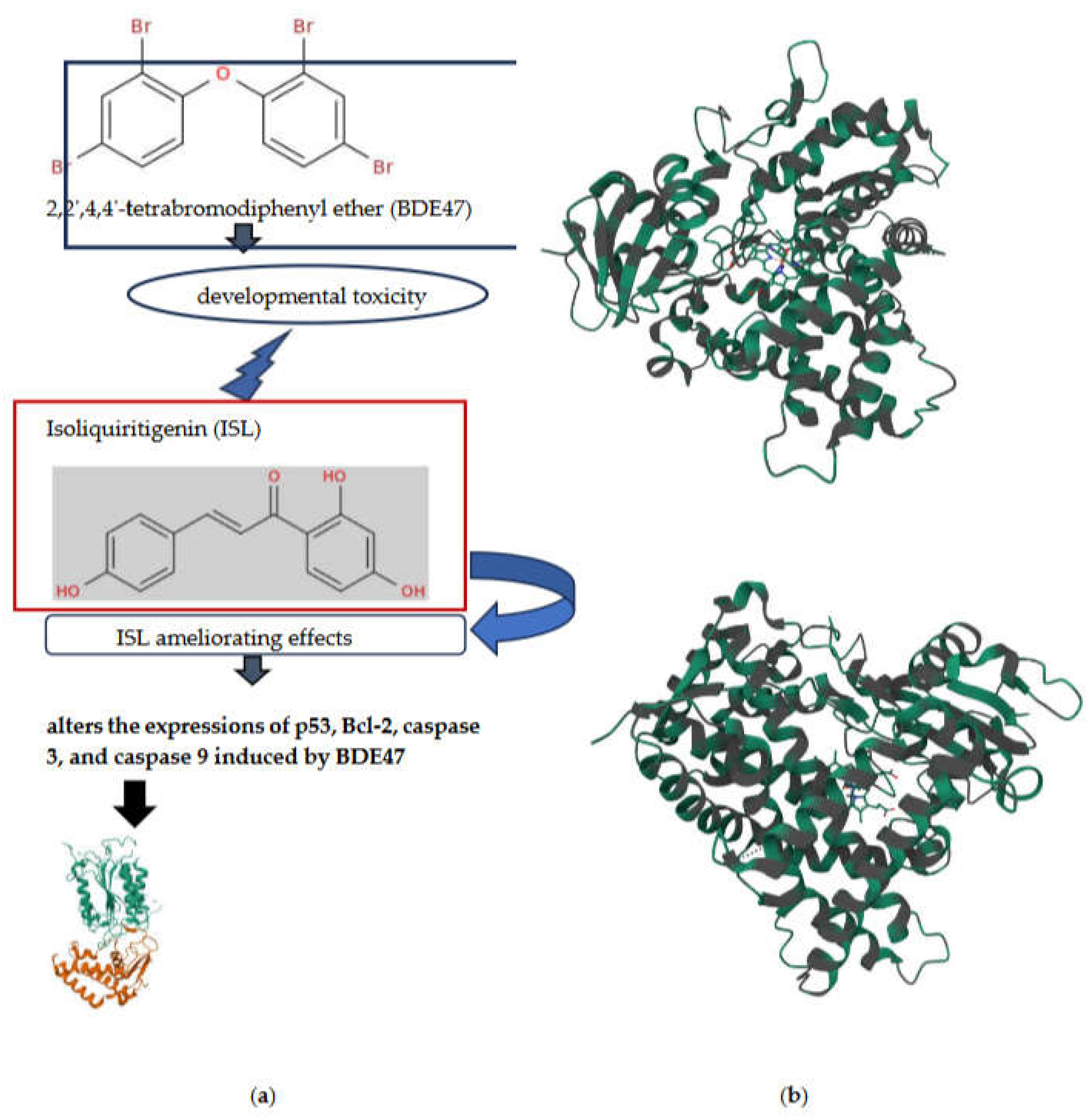 Preprints 121163 g004