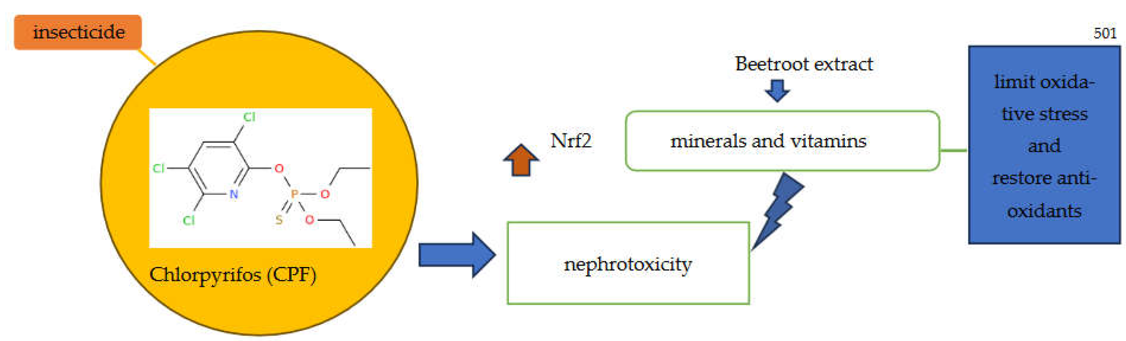 Preprints 121163 g005
