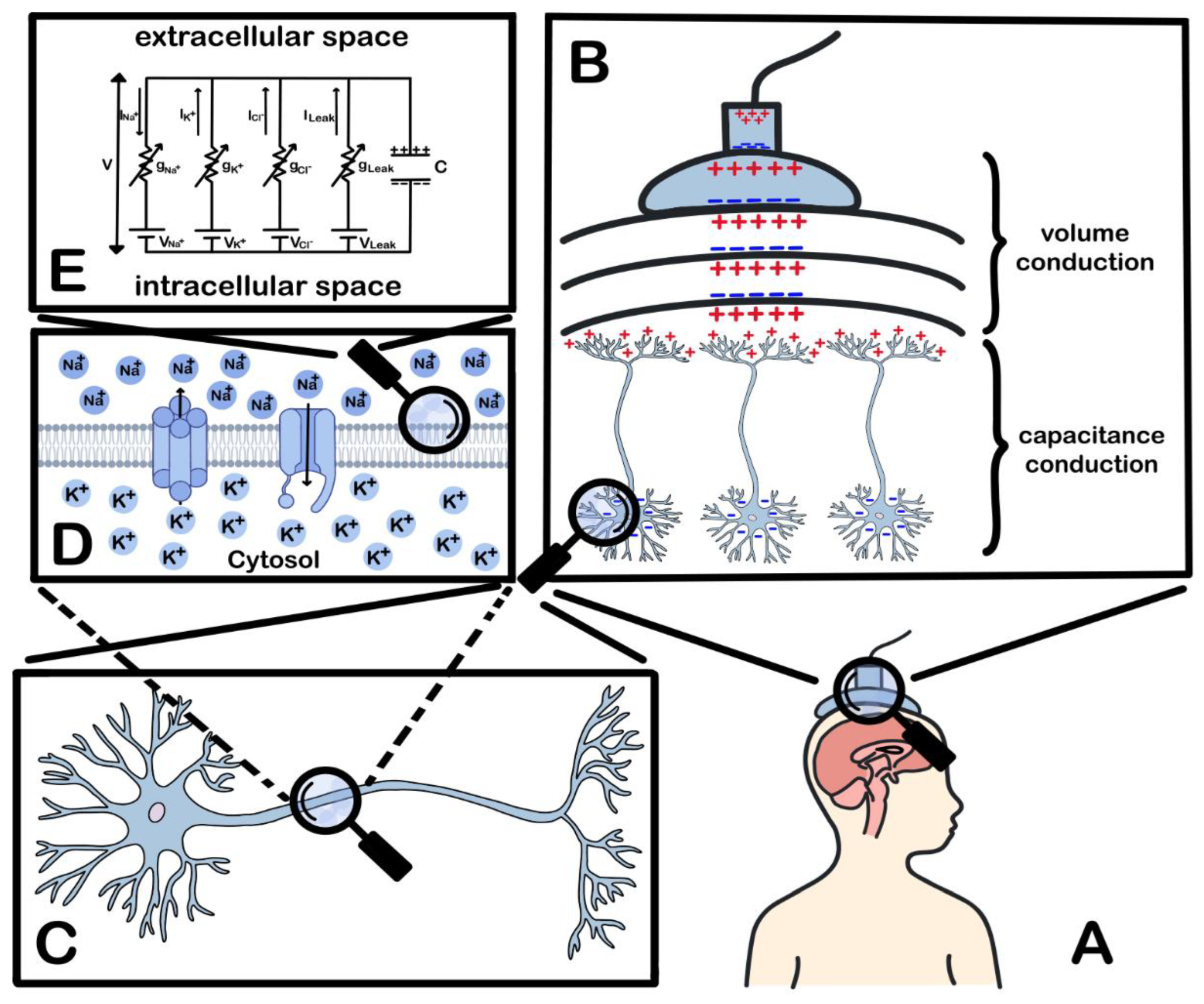 Preprints 191957 g001