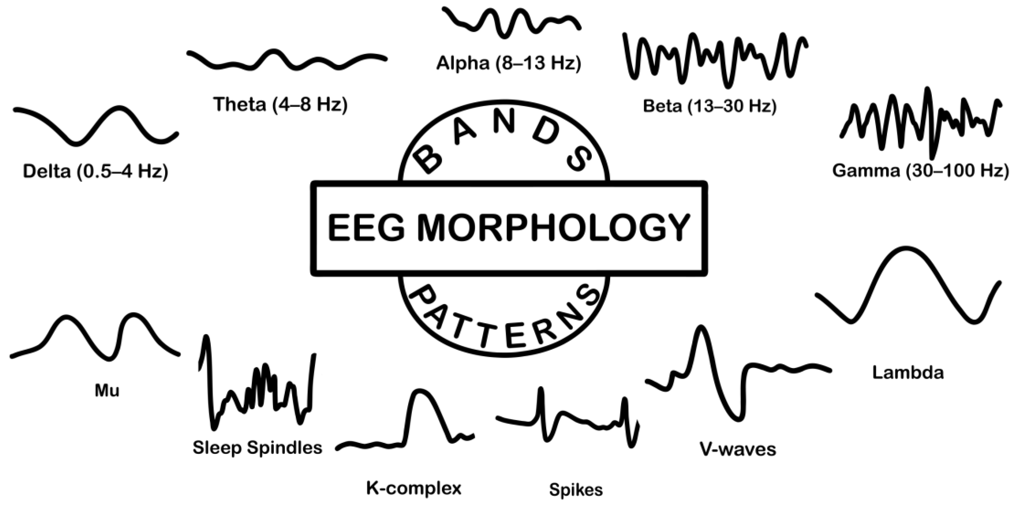 Preprints 191957 g005