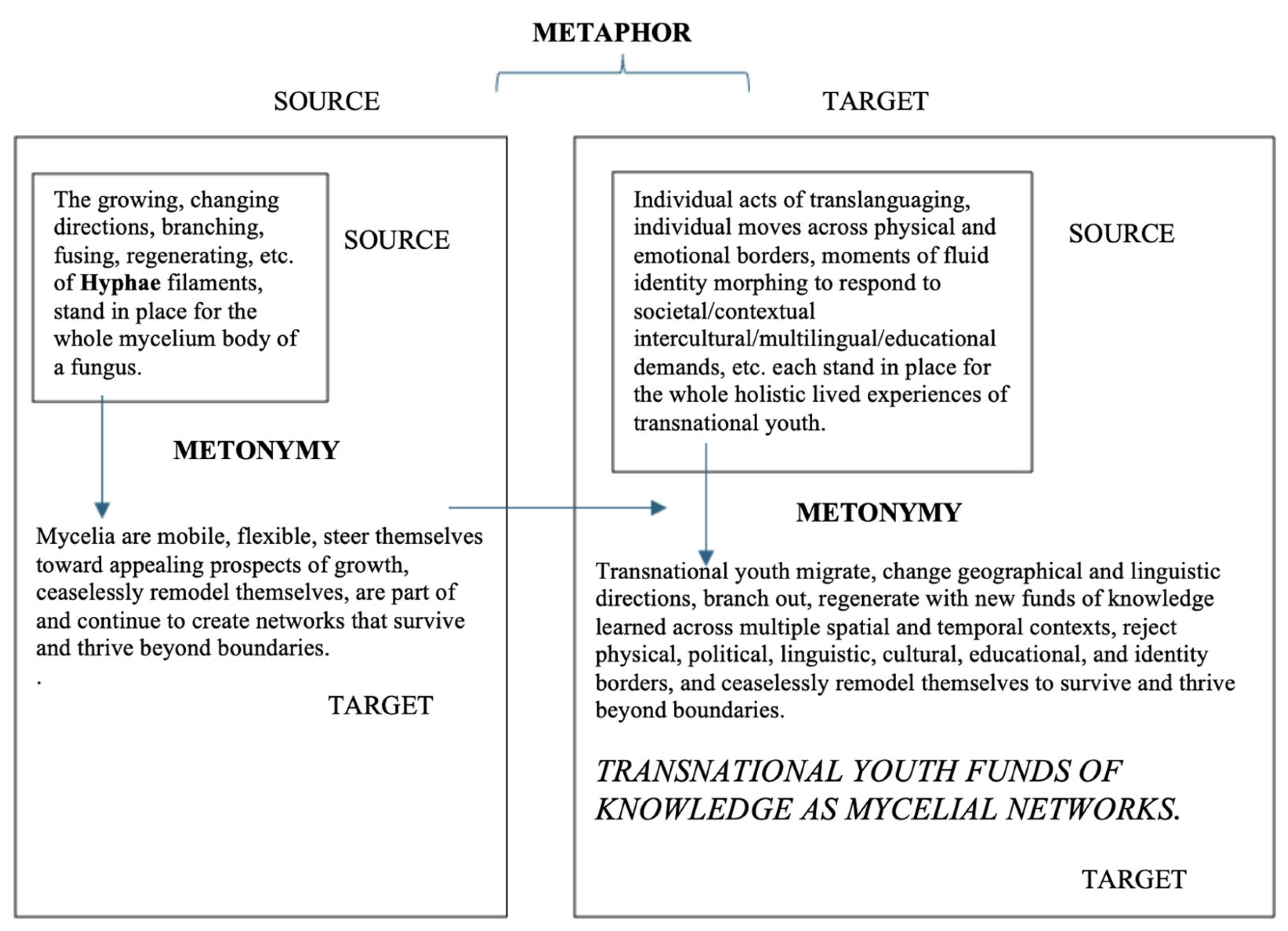 Preprints 210040 g005