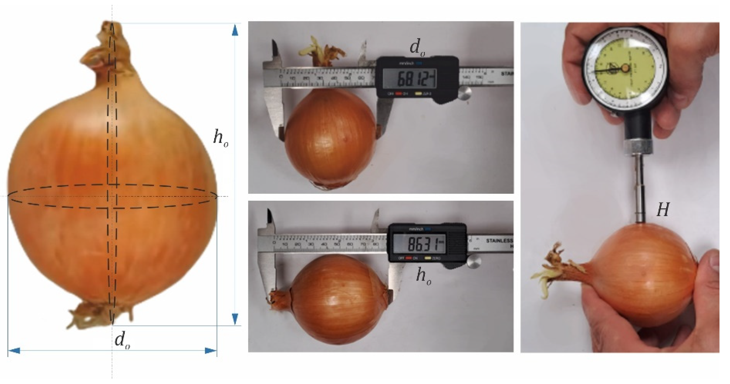 Preprints 87633 g001
