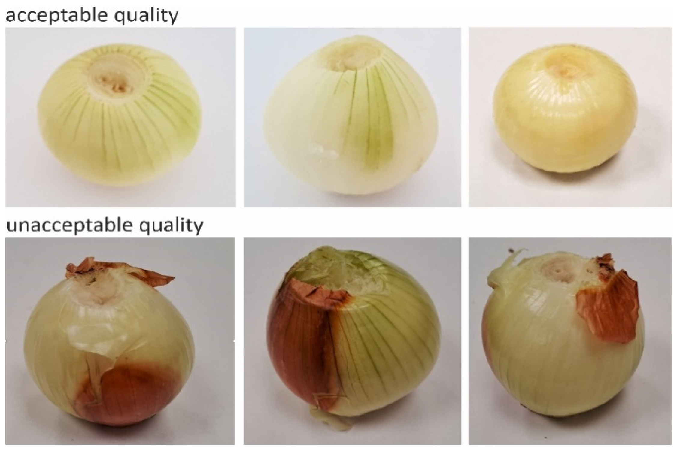 Preprints 87633 g003