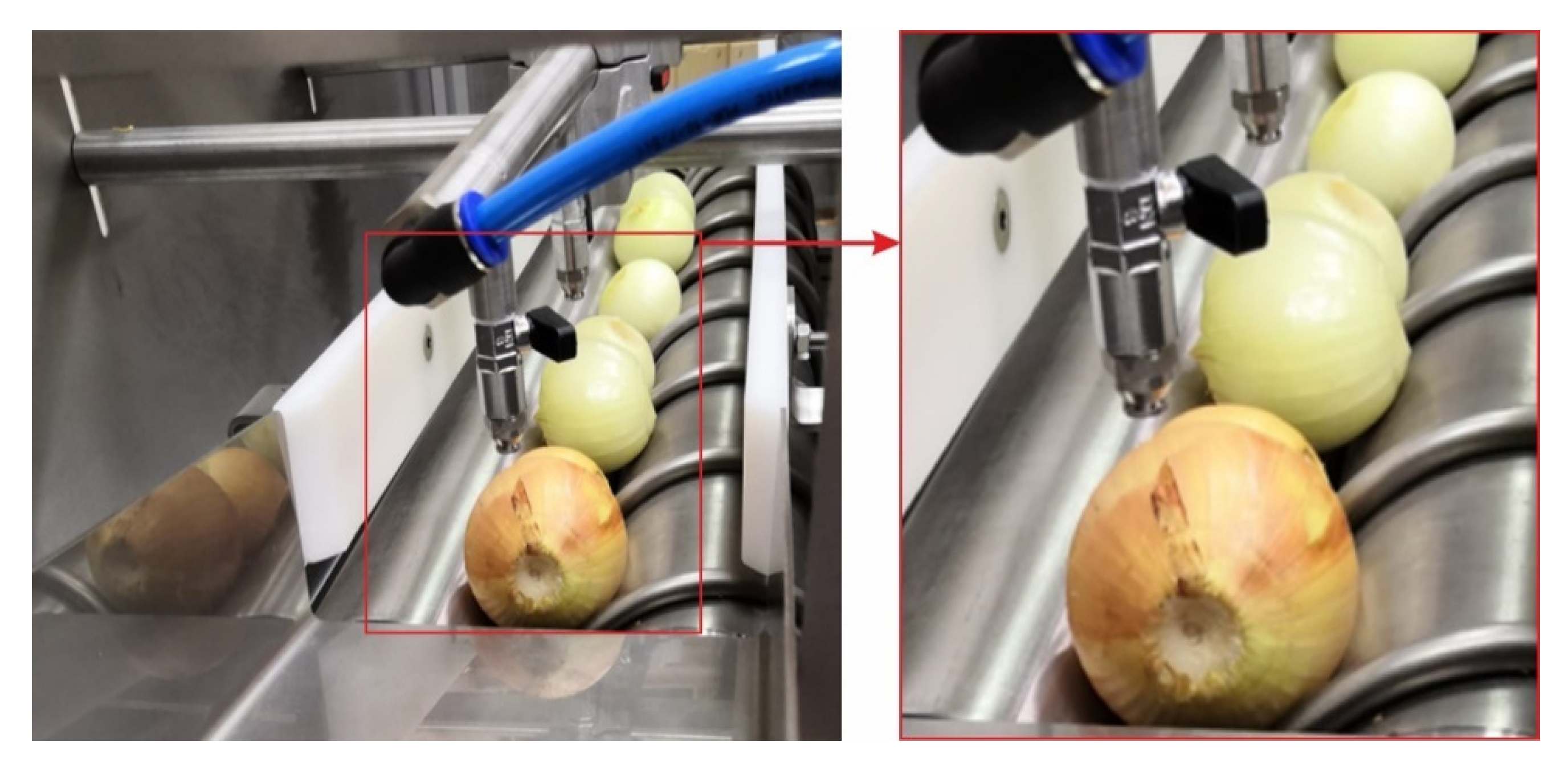 Preprints 87633 g005