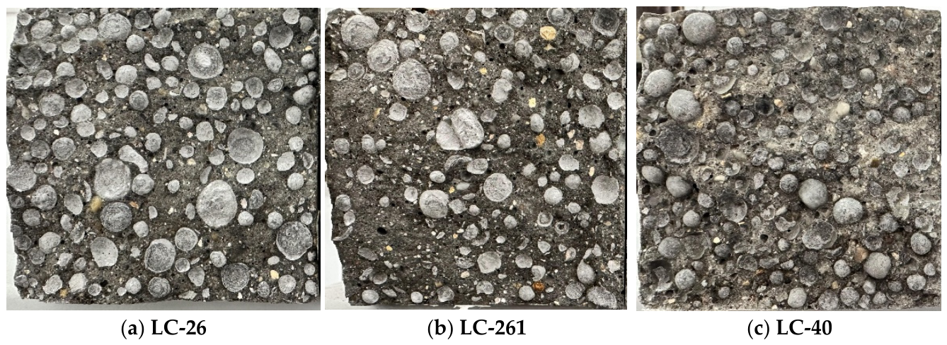 Preprints 224757 g006