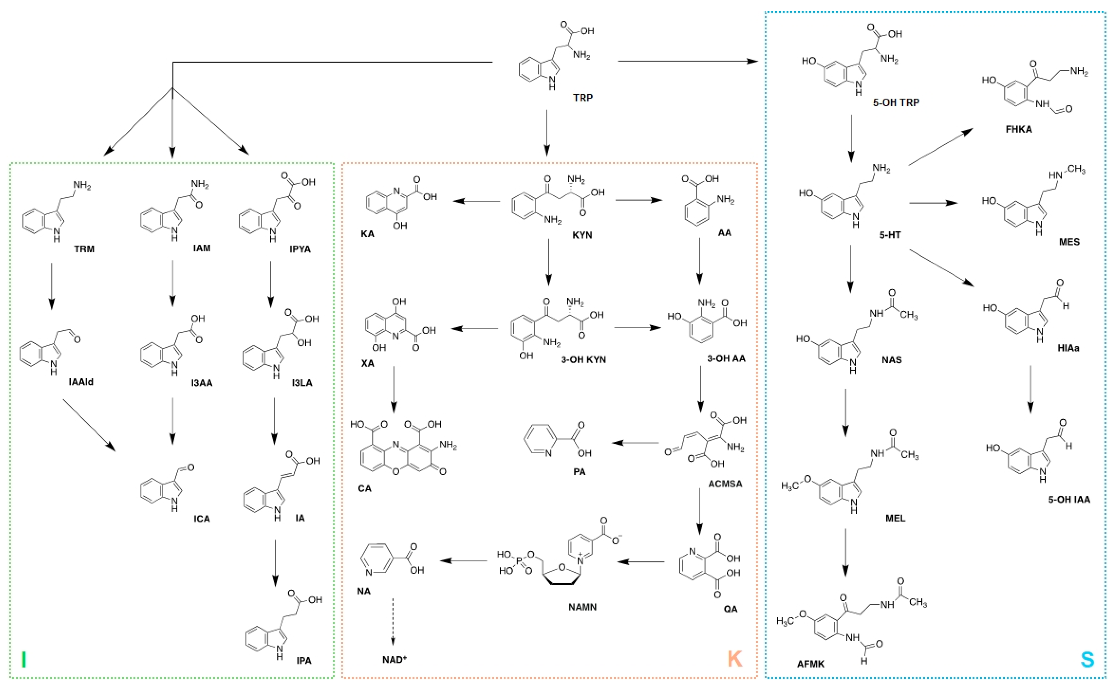 Preprints 206967 g001