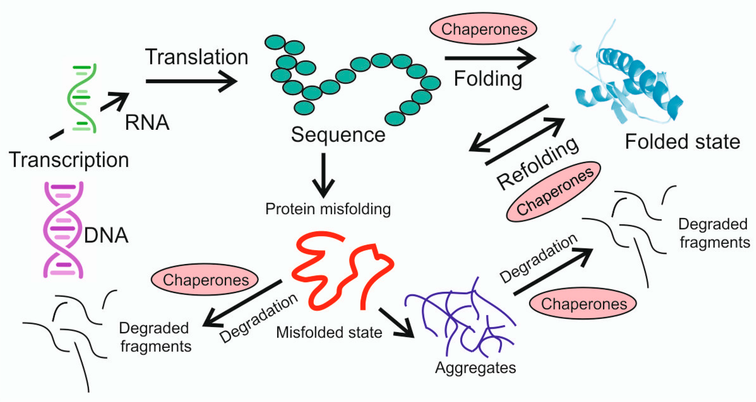 Preprints 206967 g002