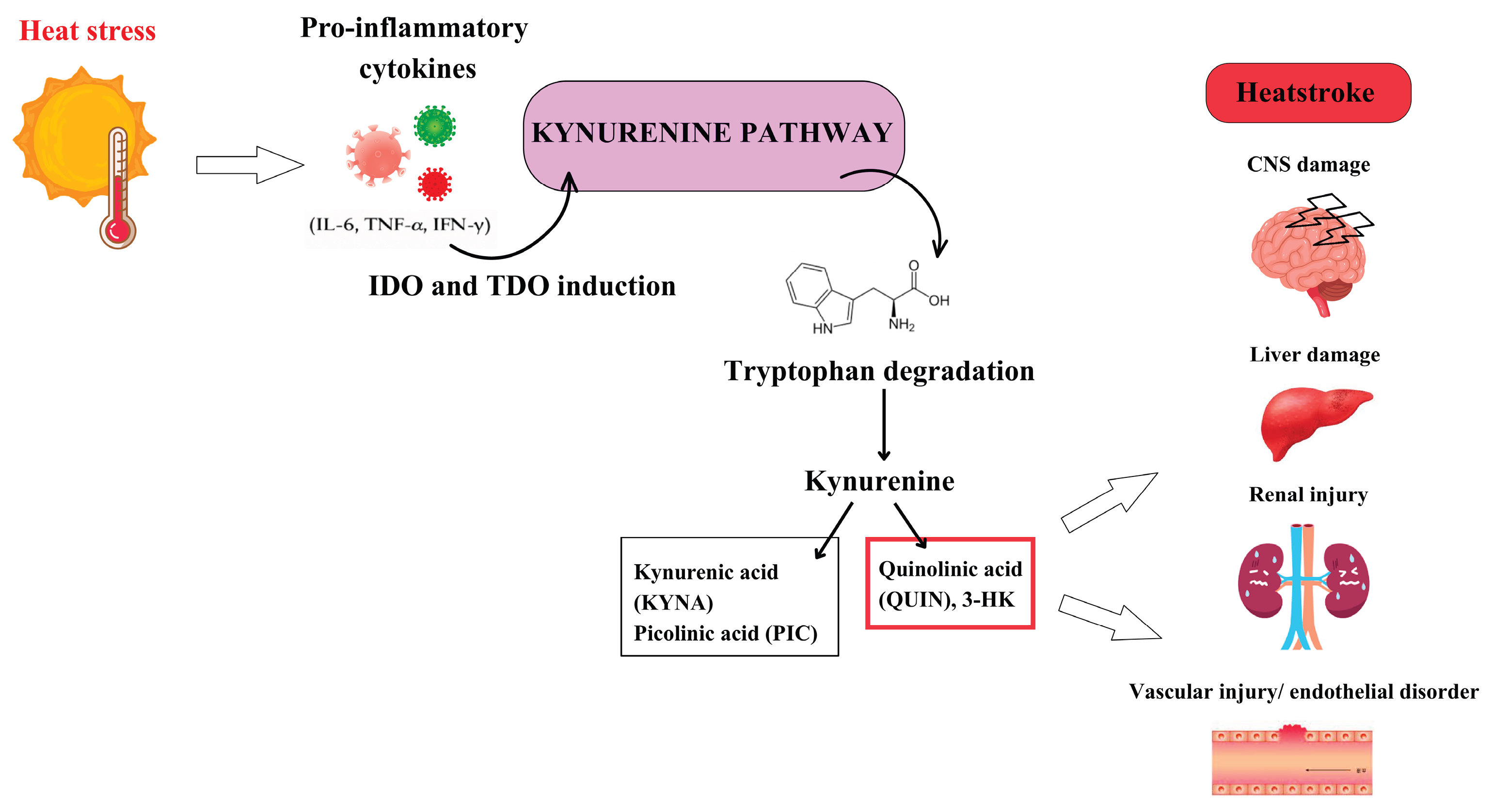 Preprints 206967 g003